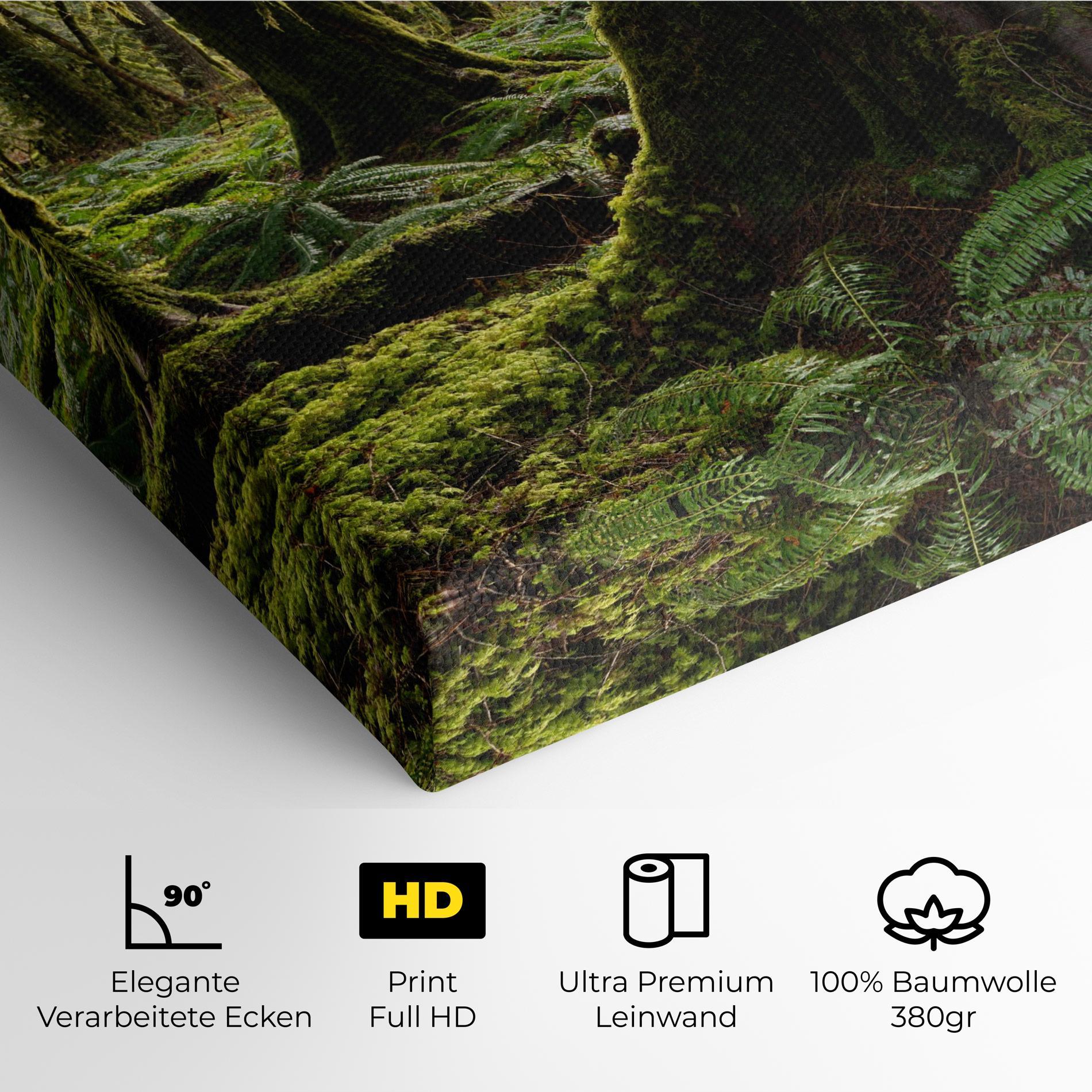 Leinwandbild Green Moss Forest mockup 4