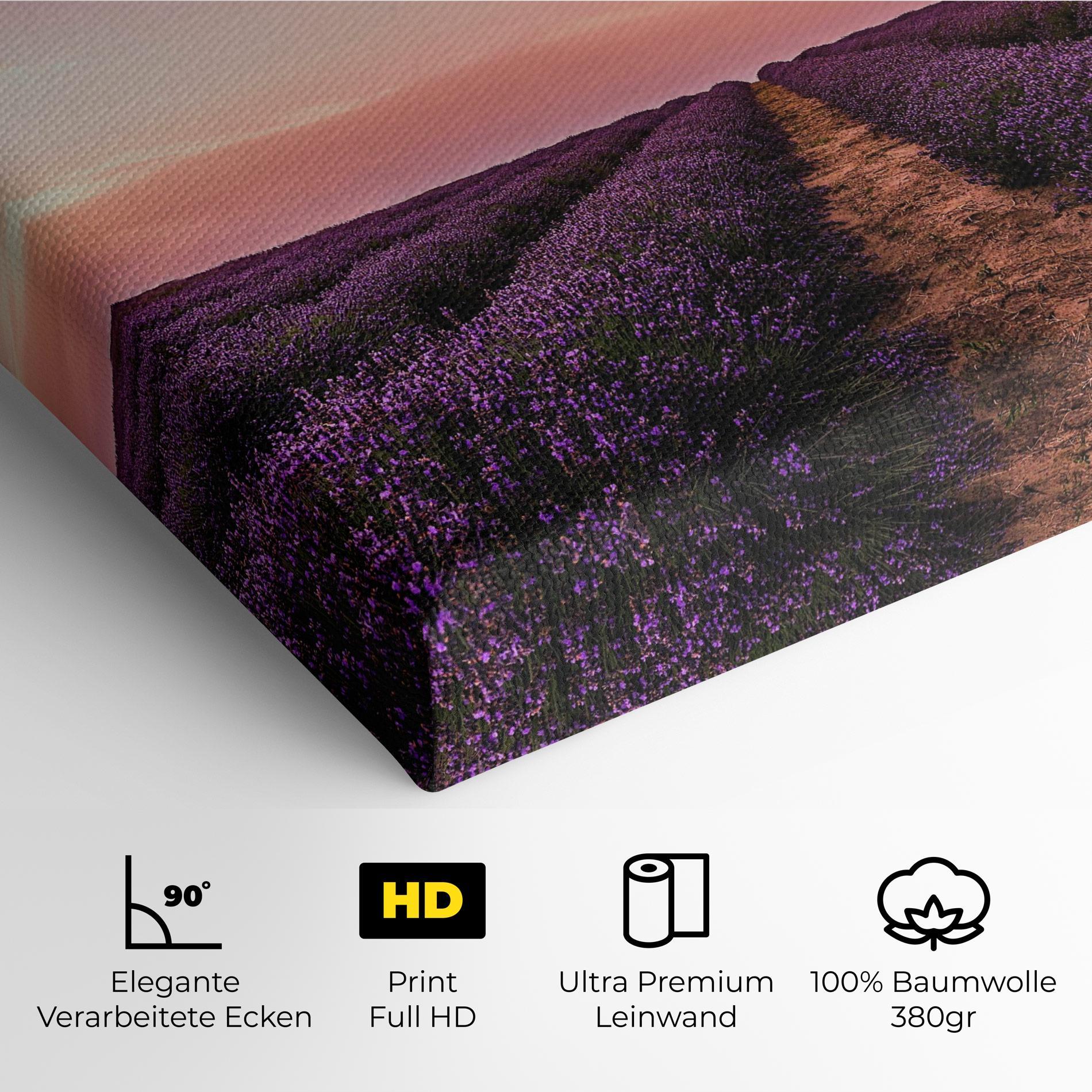 Leinwandbild Lavender Field mockup 4
