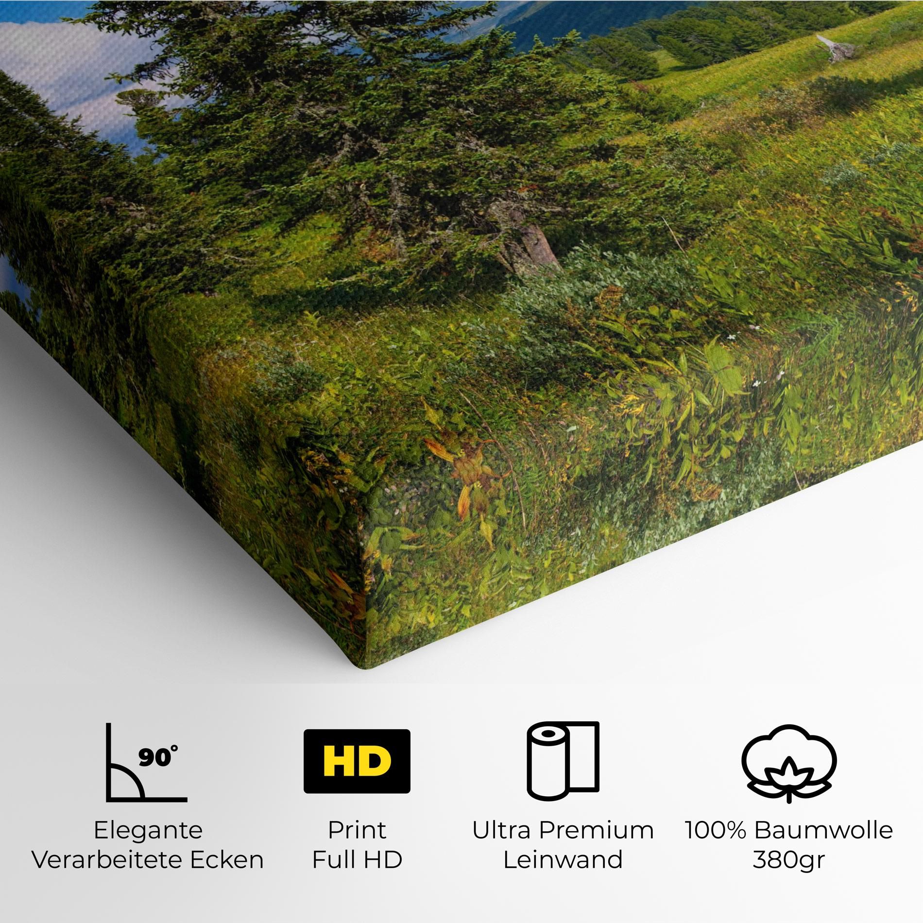 Morning Sunny Field mockup 4