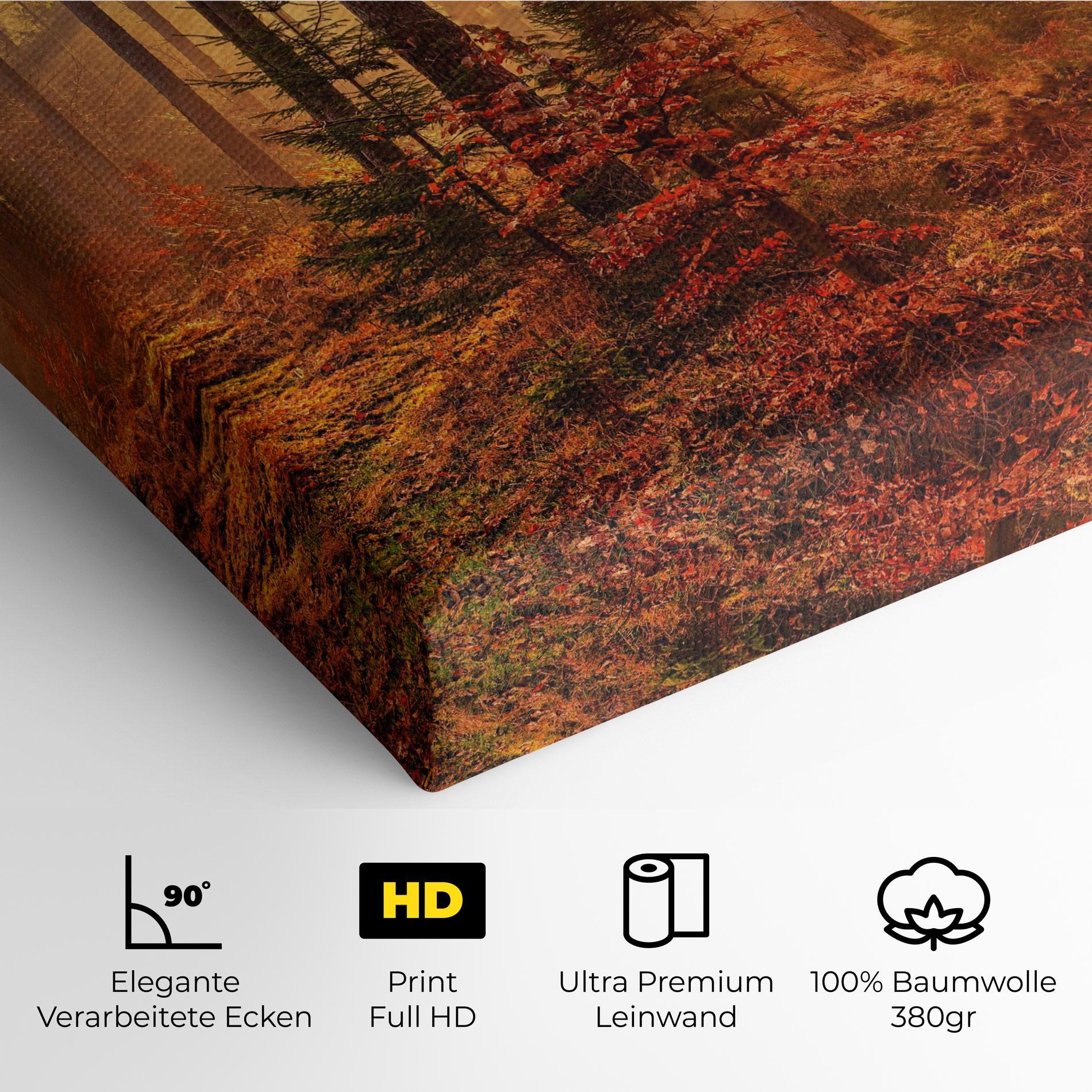 Leinwandbild Orange Light Forest mockup 4