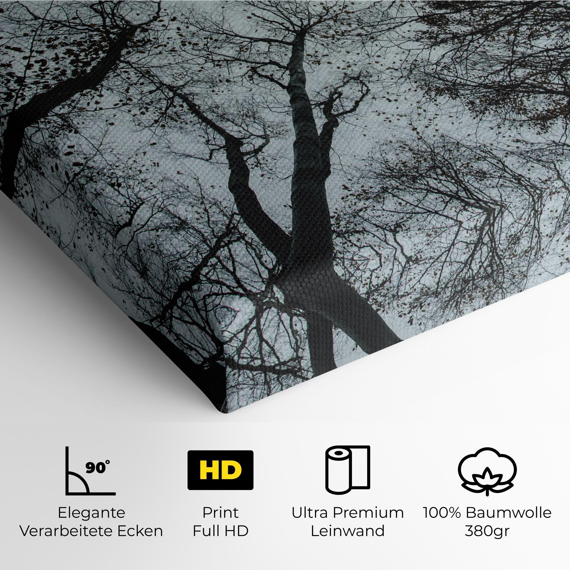 Leinwandbild Trees Touching mockup 4