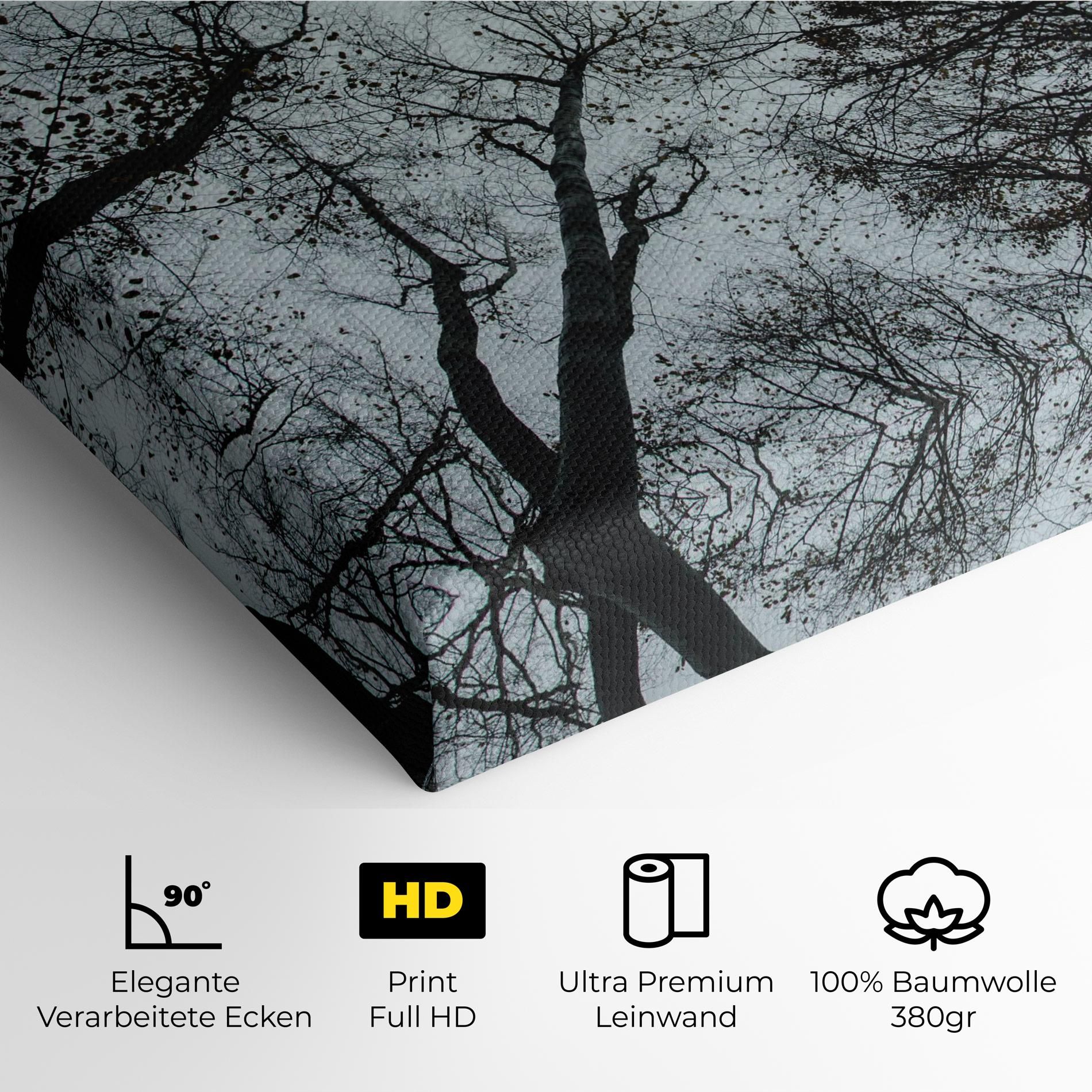 Trees Touching mockup 4
