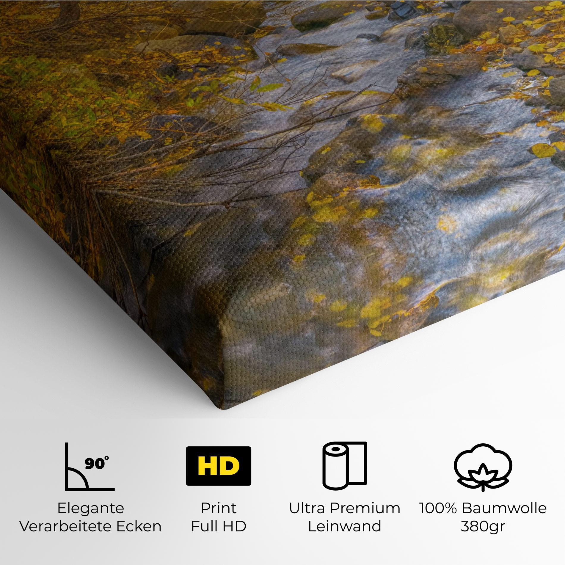 Leinwandbild Yellow View Forest mockup 4