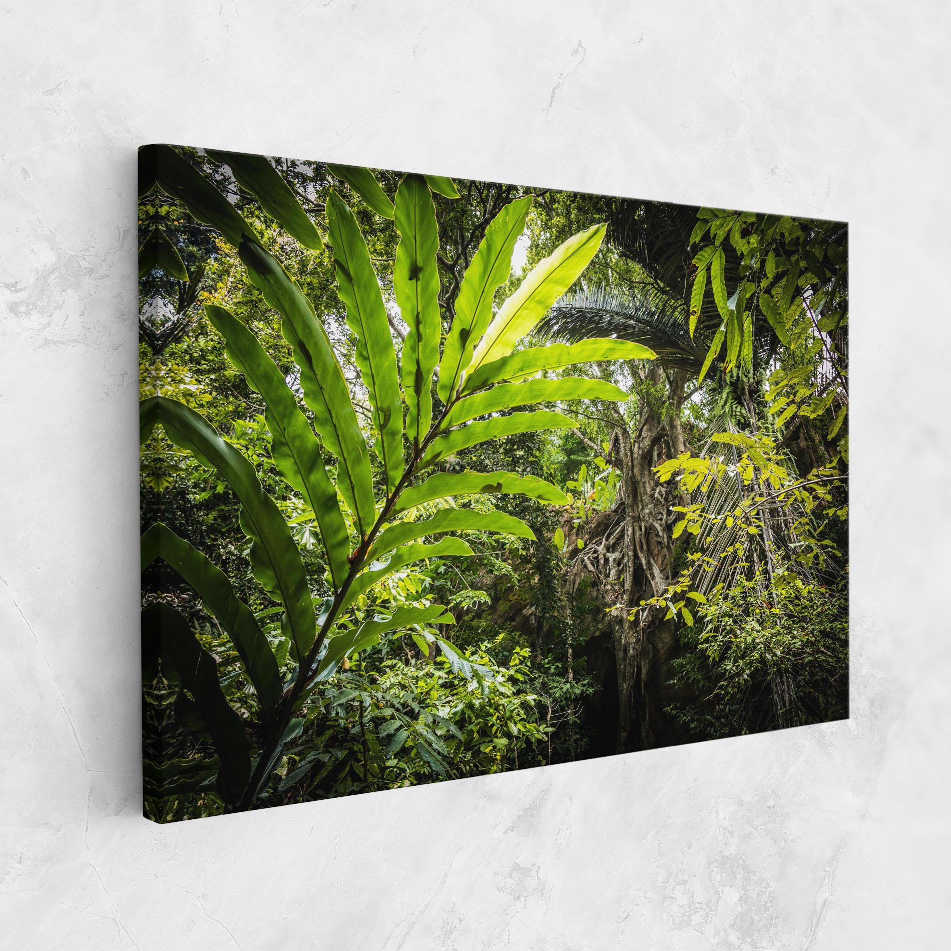 Leinwandbild Big Leaf Forest mockup 1