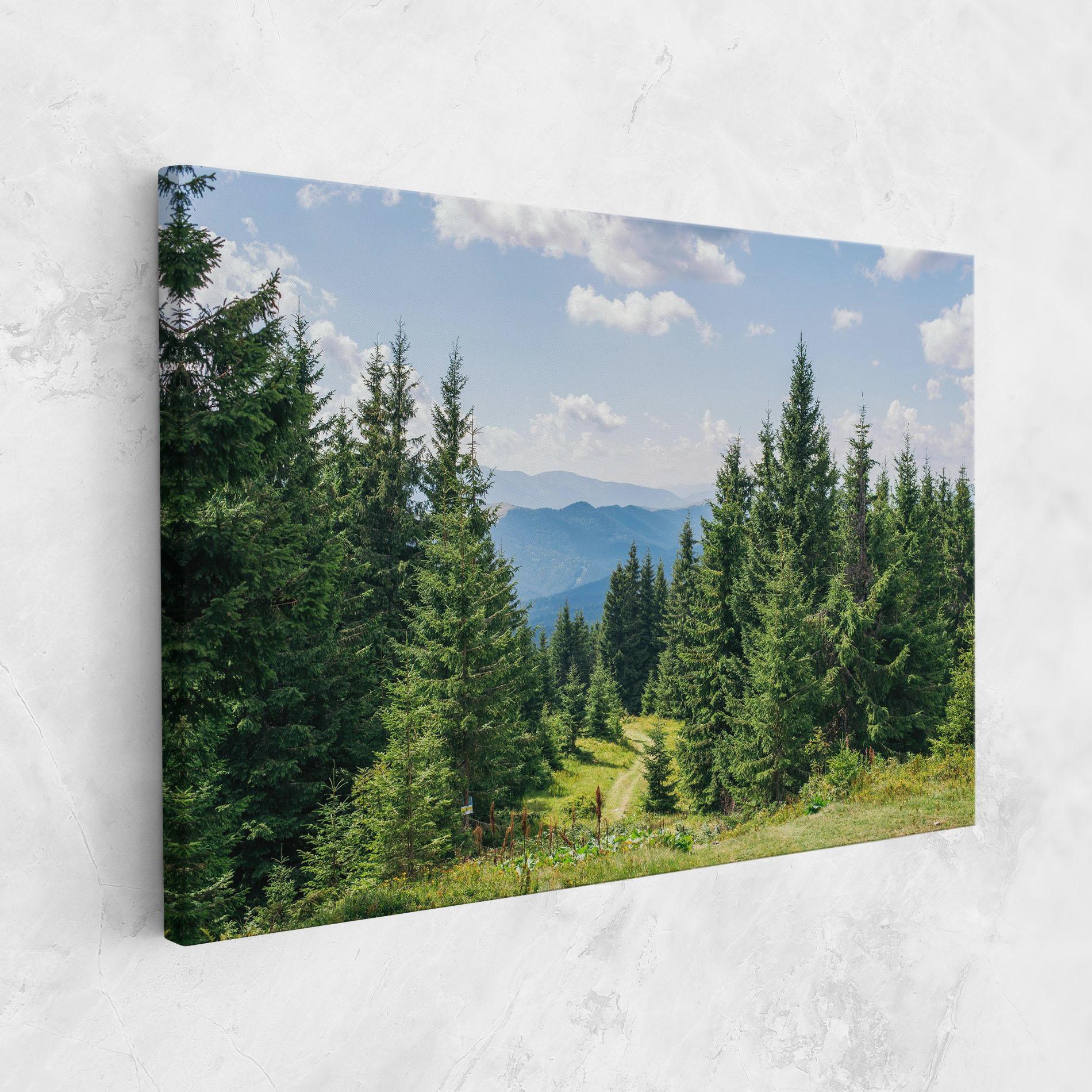 Leinwandbild Carpathian Mountain mockup 1