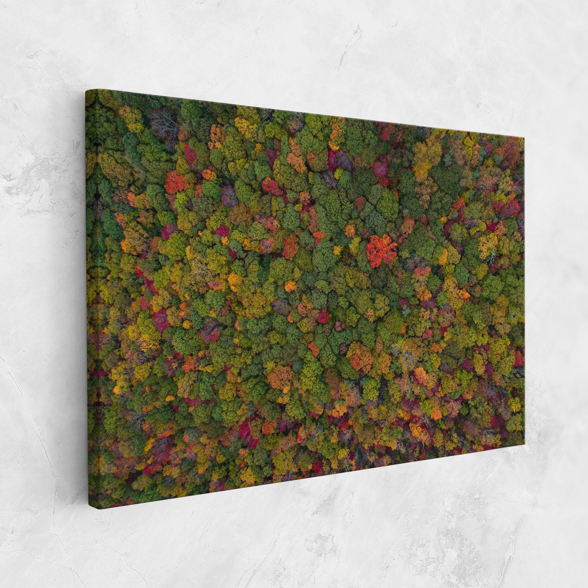 Leinwandbild Color Mix Forest mockup 1