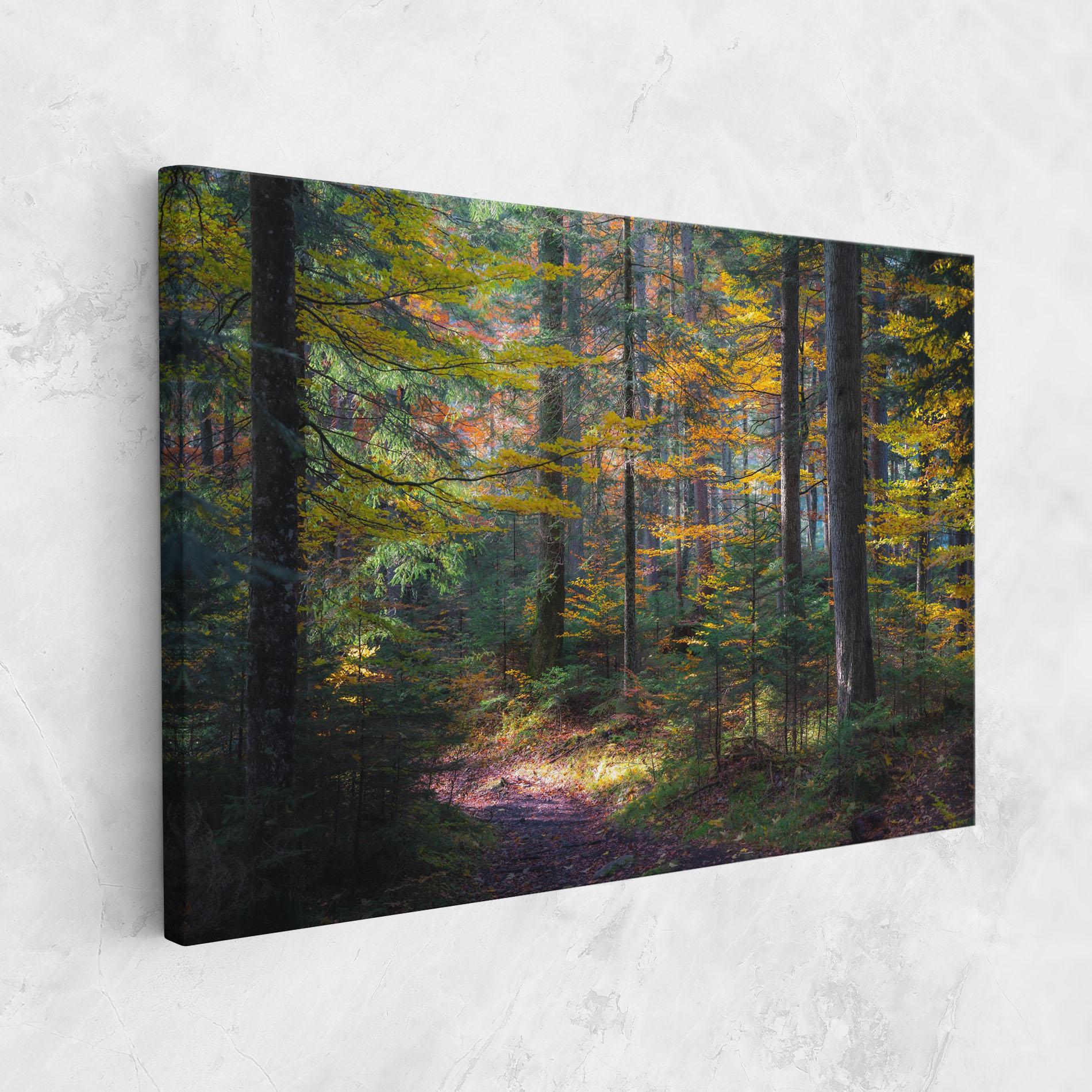 Leinwandbild Dreamy Path Dorest mockup 1