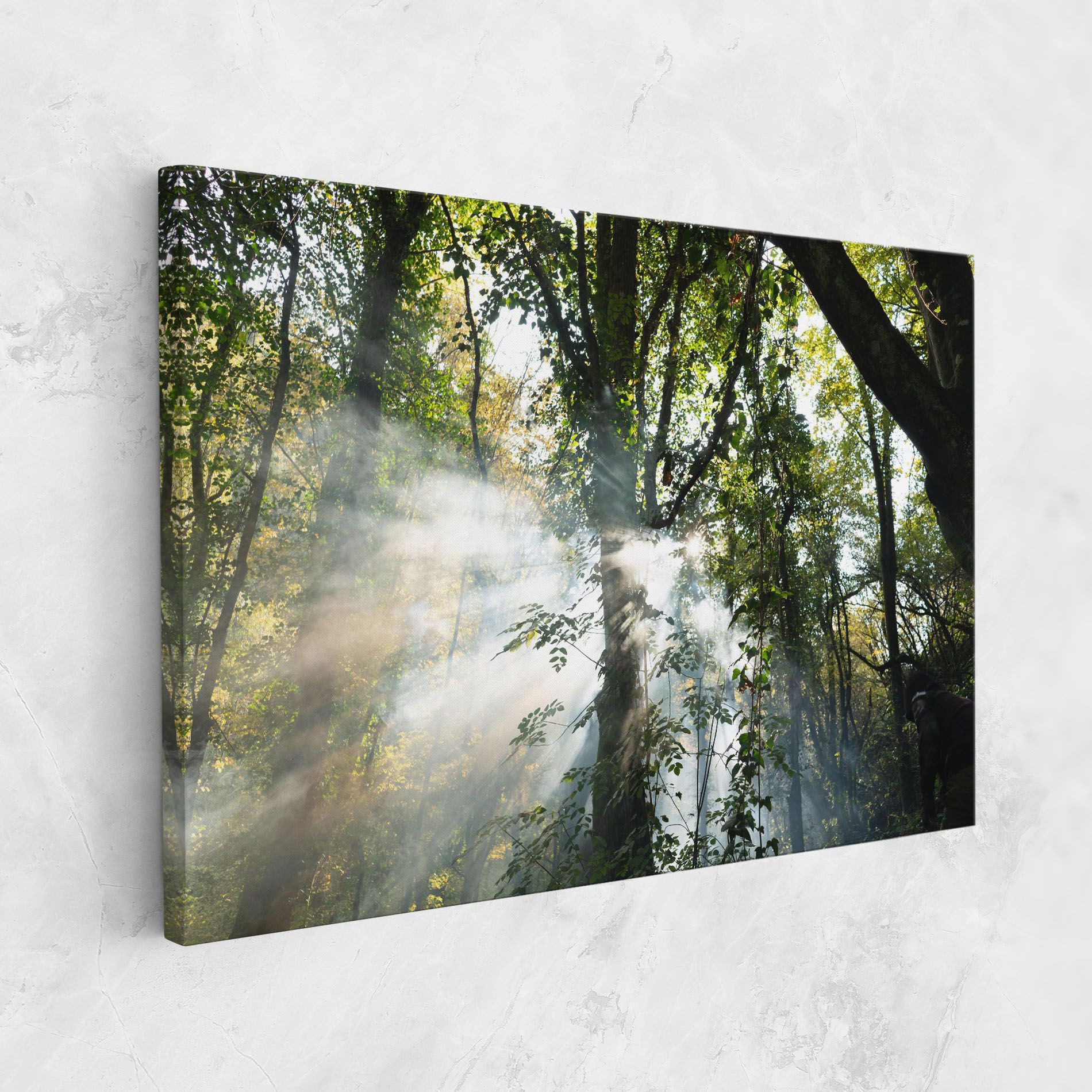 Foggy Light Forest mockup 1