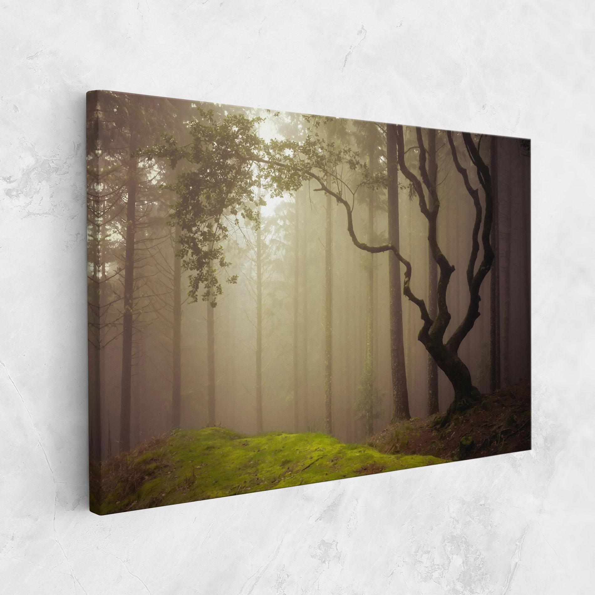Leinwandbild Foggy Tree Art mockup 1