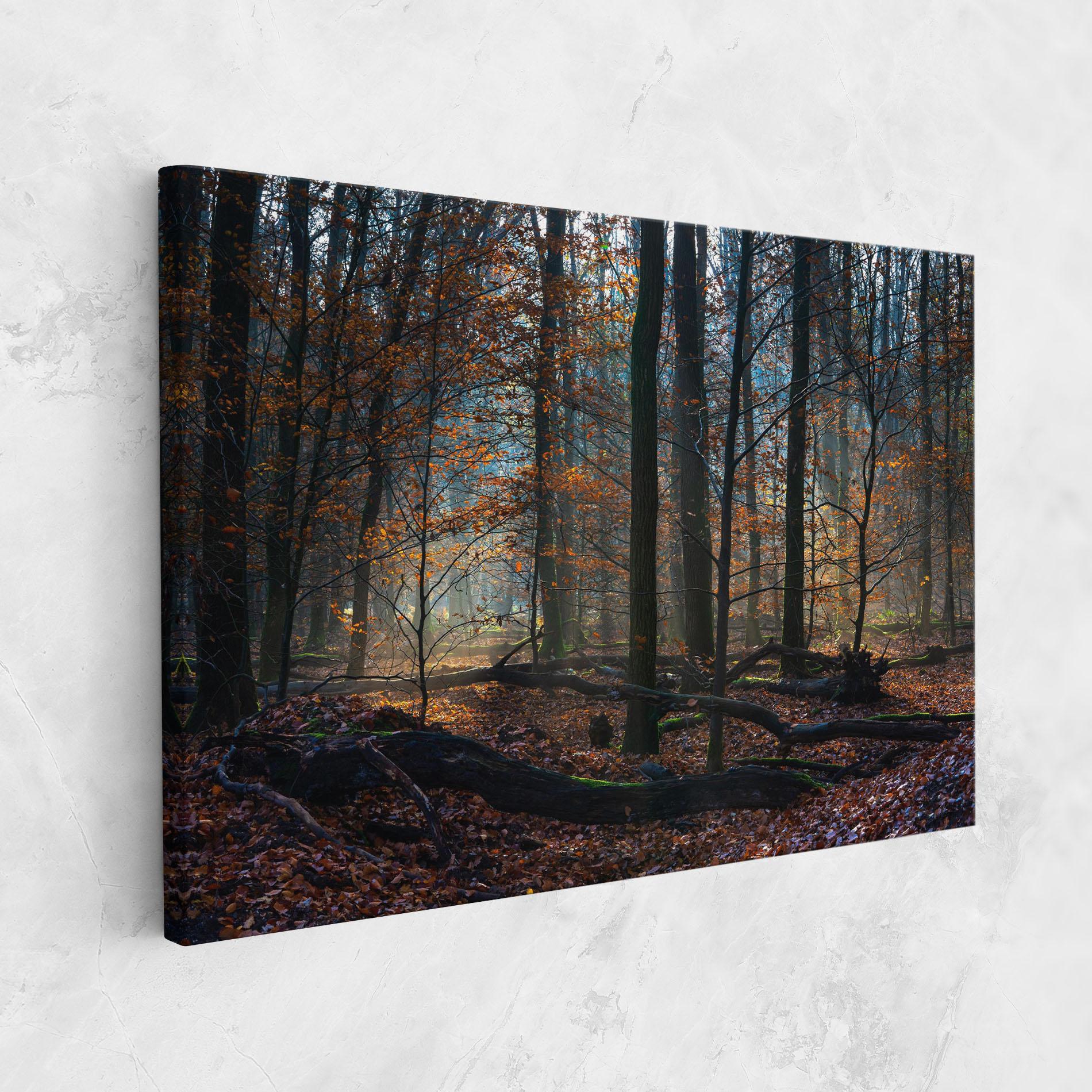 Leinwandbild Forest Autumn Day mockup 1