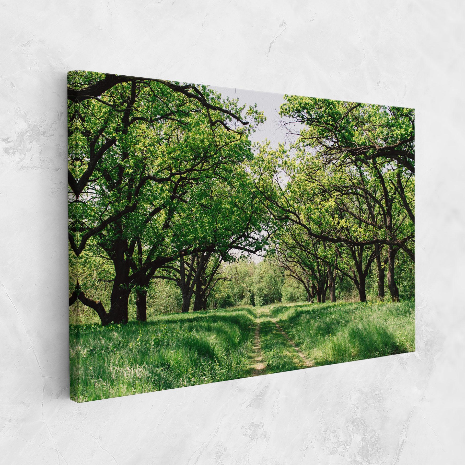 Leinwandbild Forest Green Path mockup 1