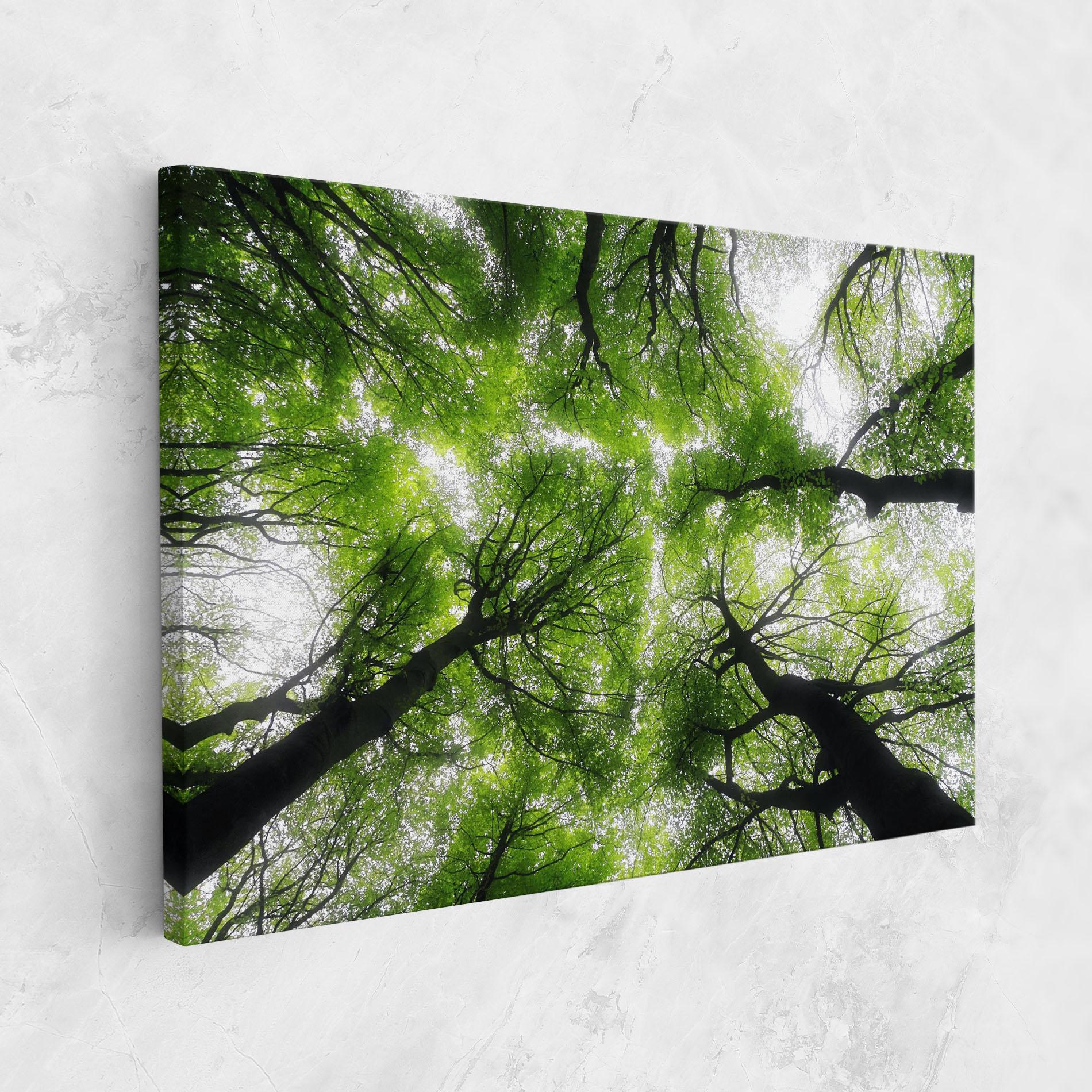 Leinwandbild Forest Green Tree mockup 1