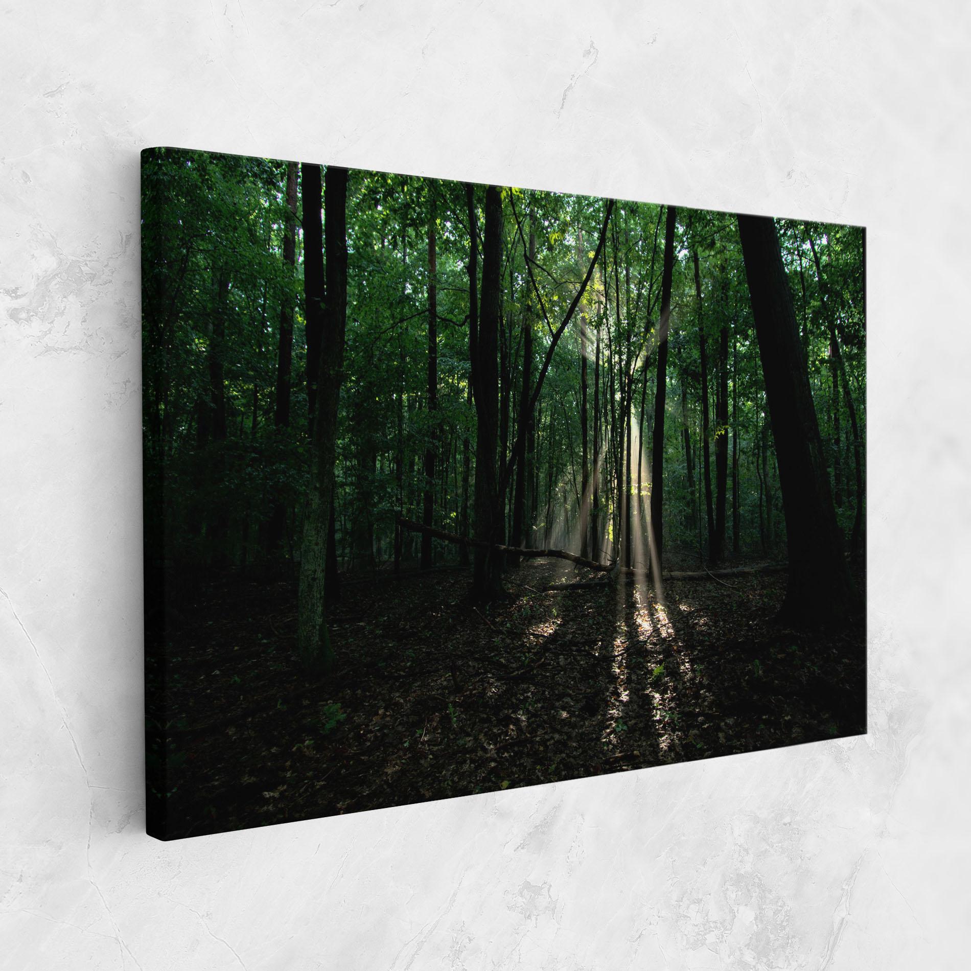Leinwandbild Forest Sun Light mockup 1