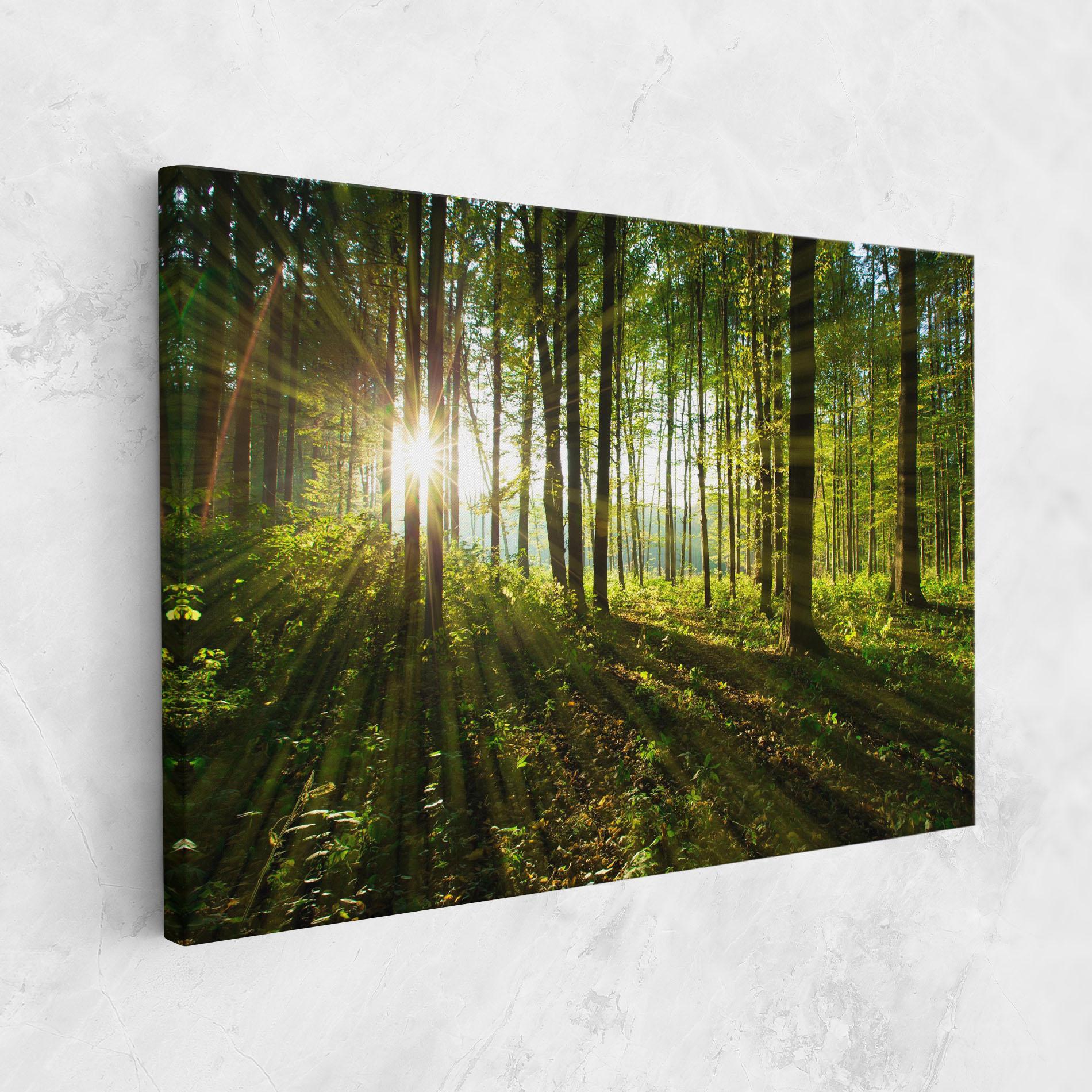 Leinwandbild Green Light Forest mockup 1