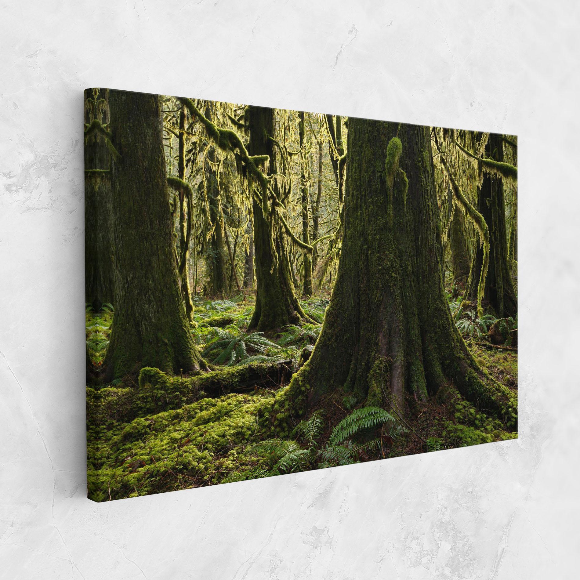 Leinwandbild Green Moss Forest mockup 1