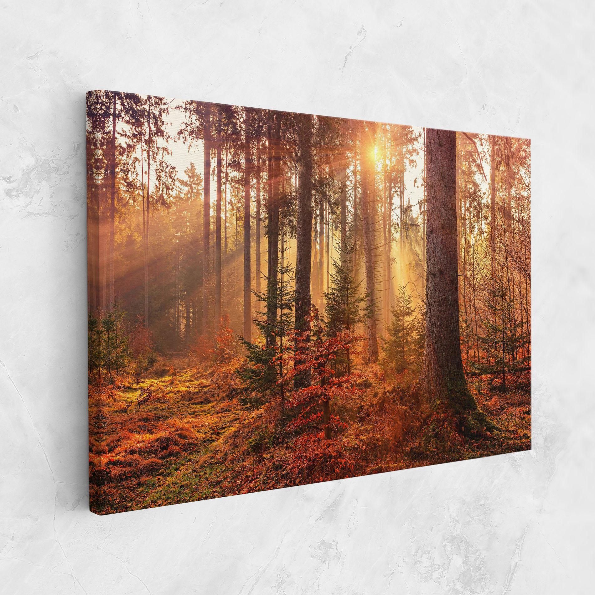 Leinwandbild Orange Light Forest mockup 1