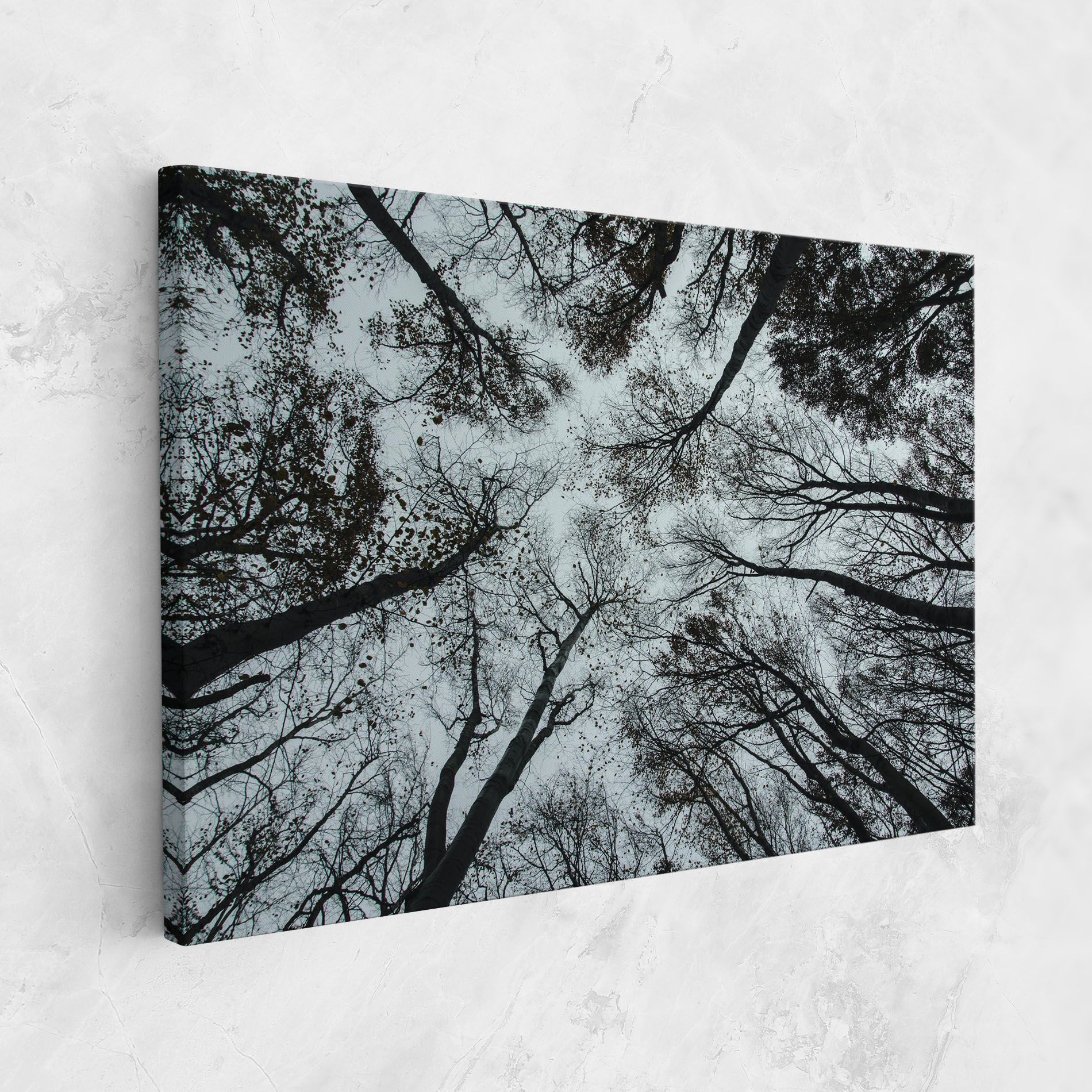 Trees Touching mockup 1