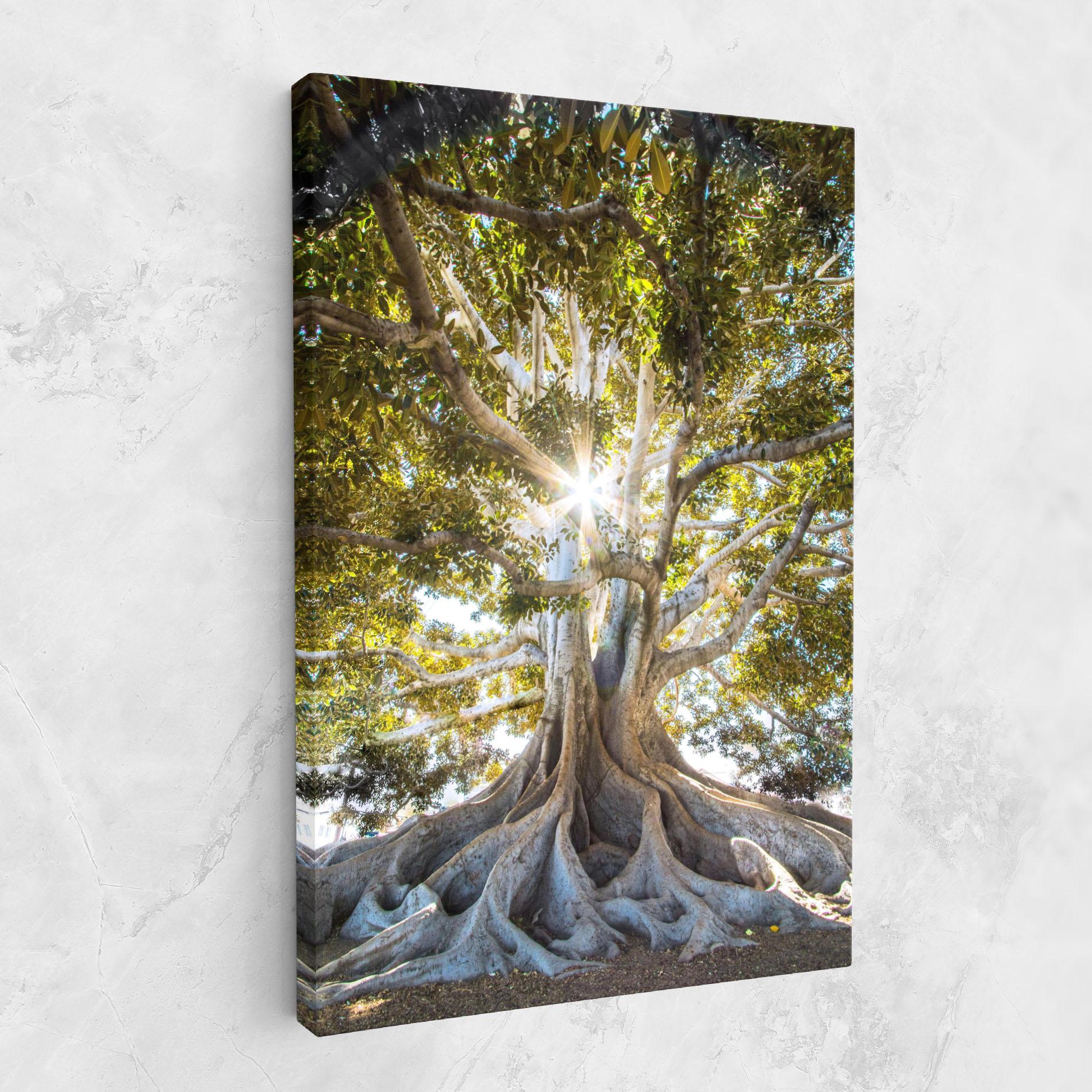 Leinwandbild Big Old Tree mockup 1