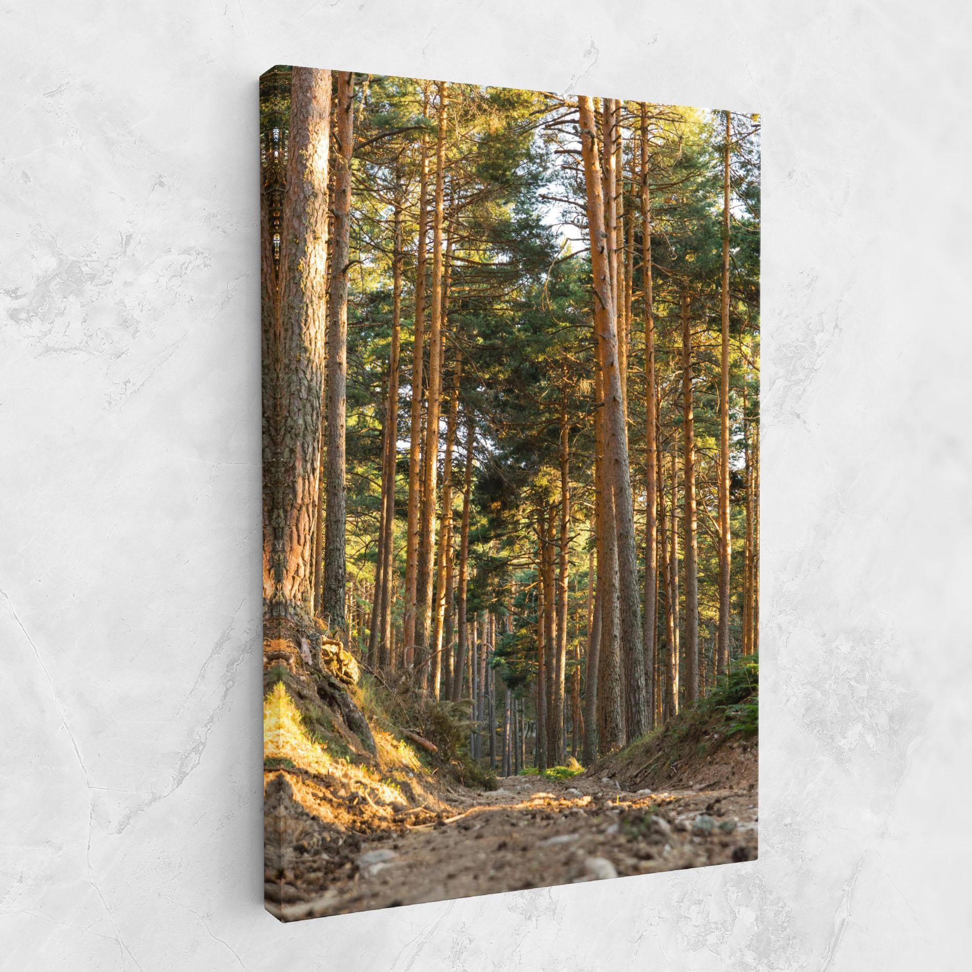 Leinwandbild Big Trees Forest mockup 1