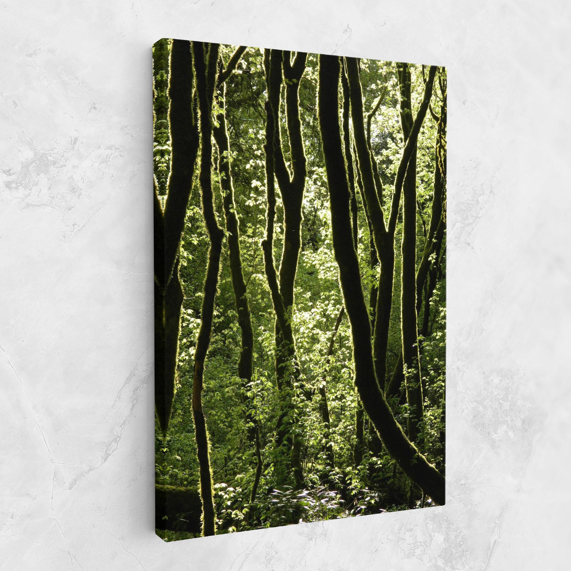 Leinwandbild Forest Black Trees mockup 1