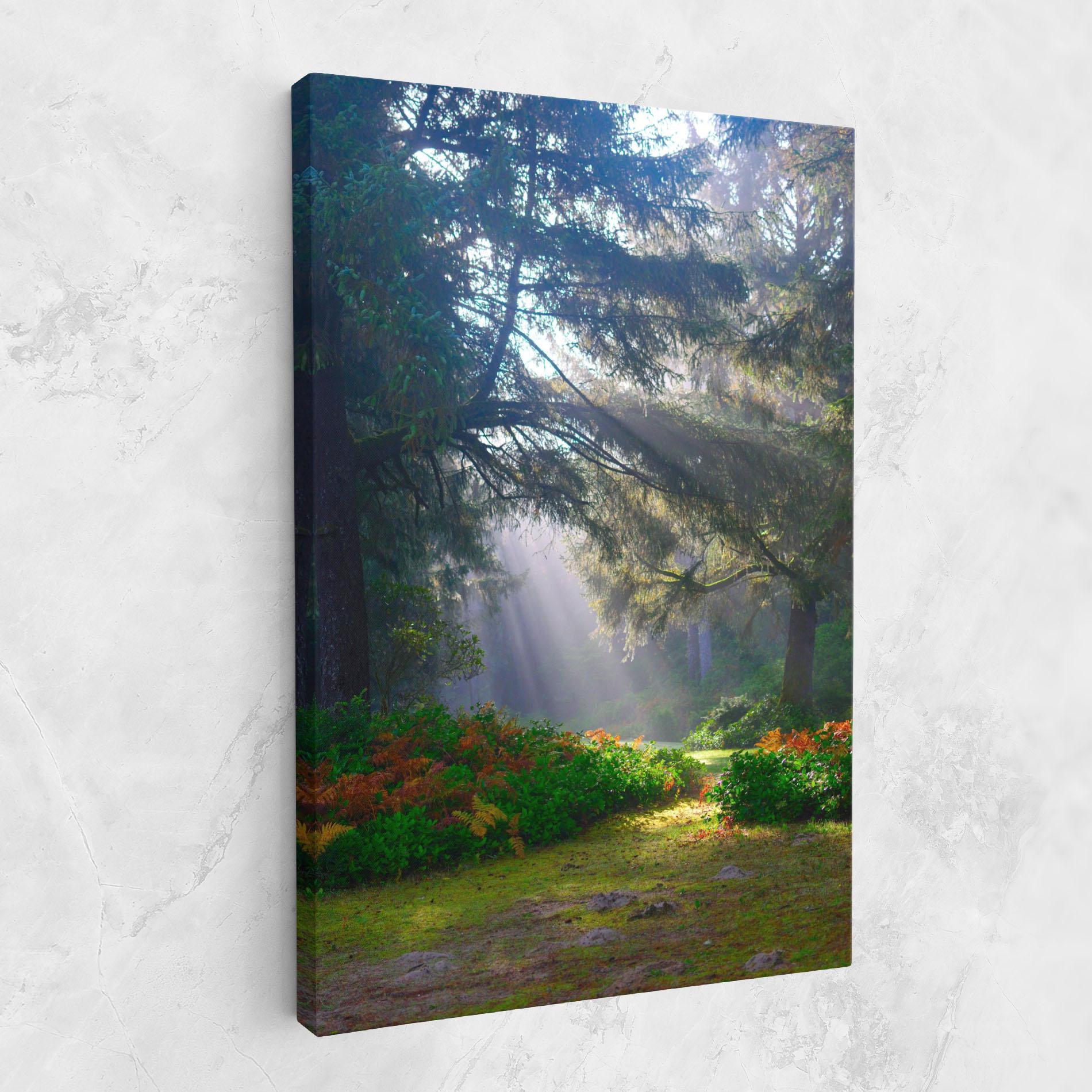 Leinwandbild Forest Light mockup 1