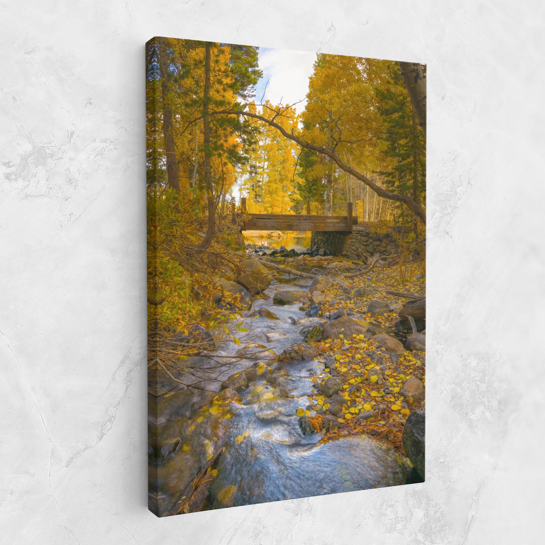 Leinwandbild Yellow View Forest mockup 1