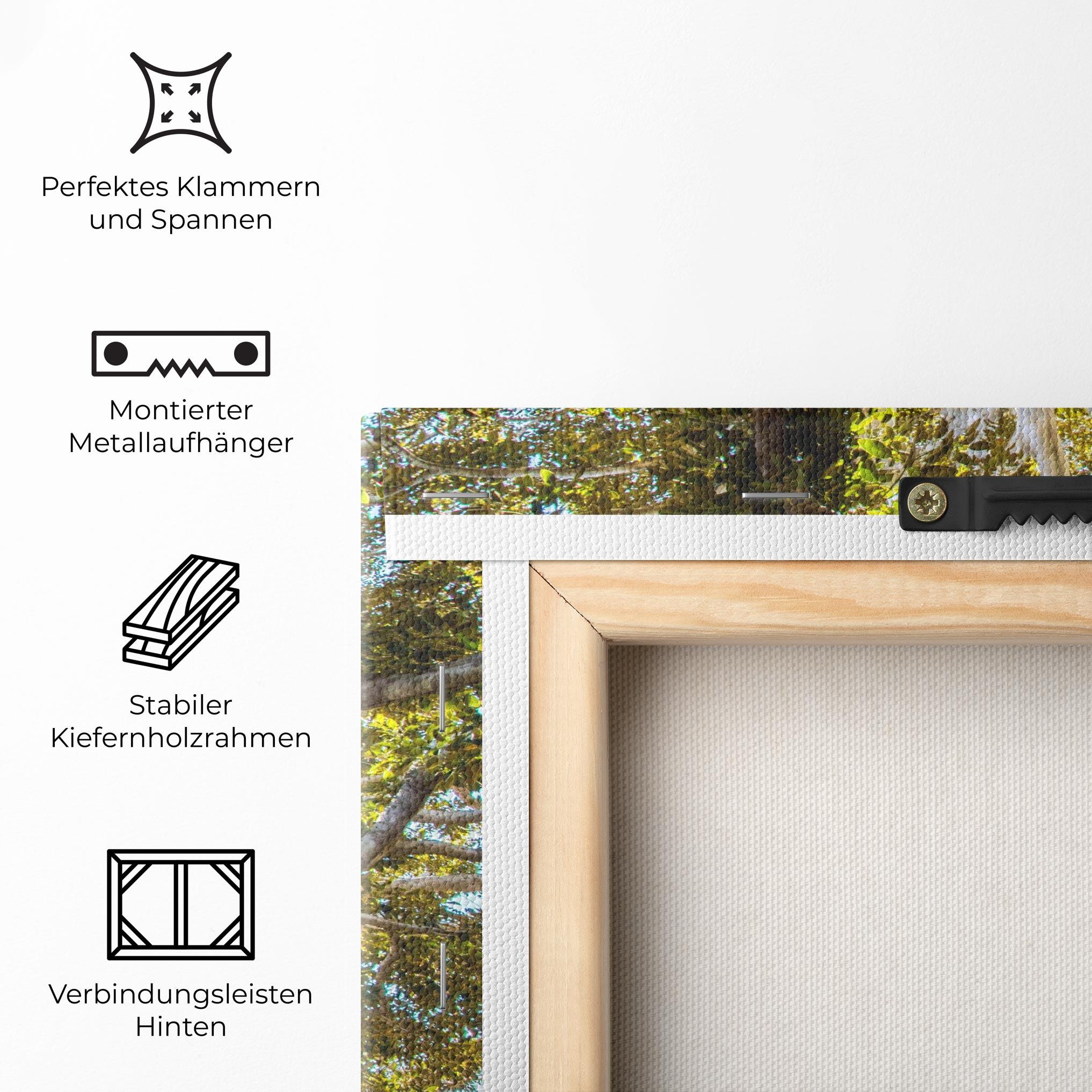 Leinwandbild Big Old Tree mockup 5