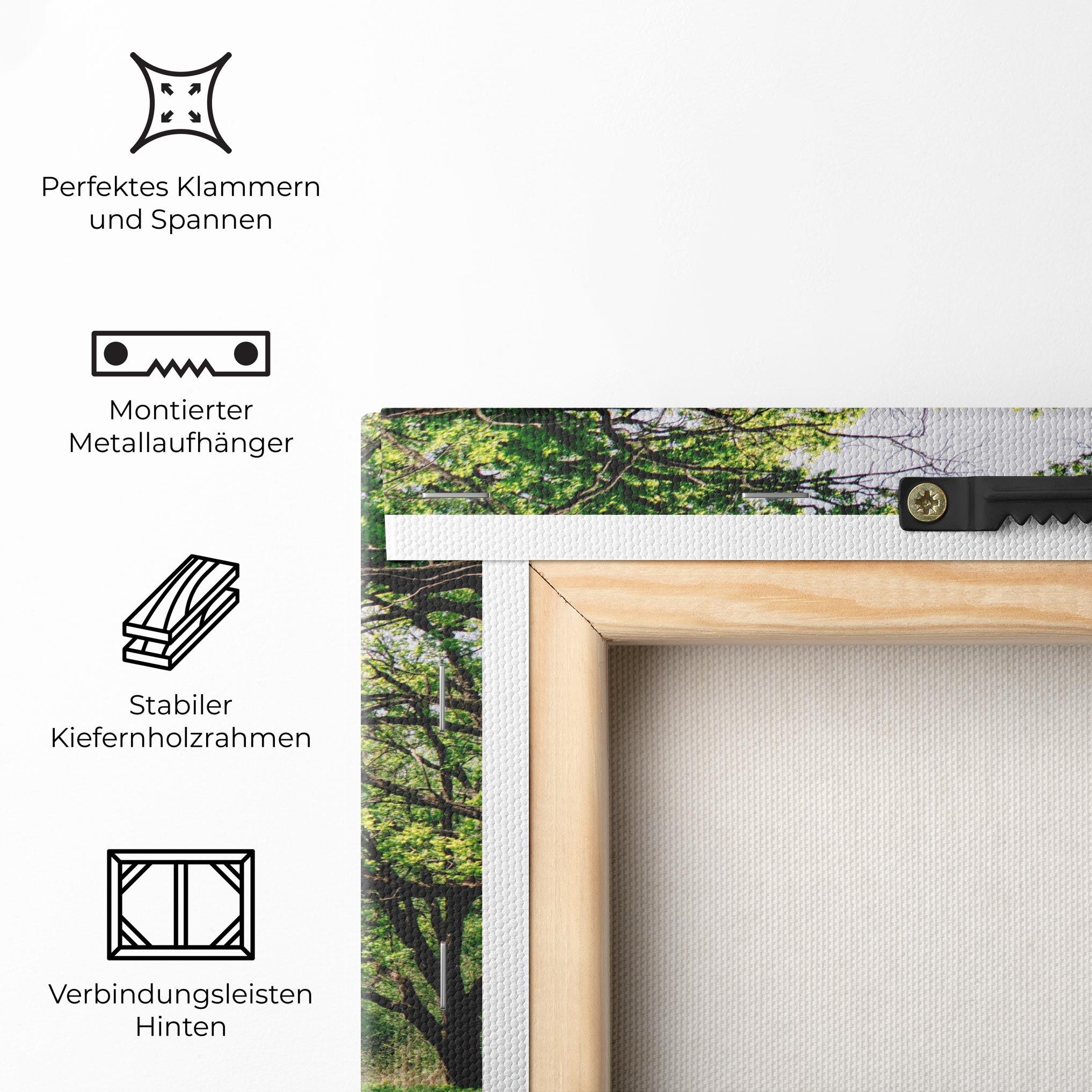 Leinwandbild Forest Green Path mockup 5