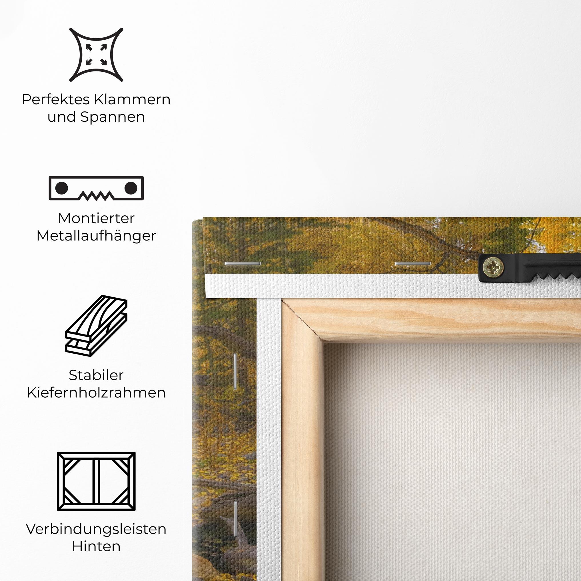 Leinwandbild Yellow View Forest mockup 5