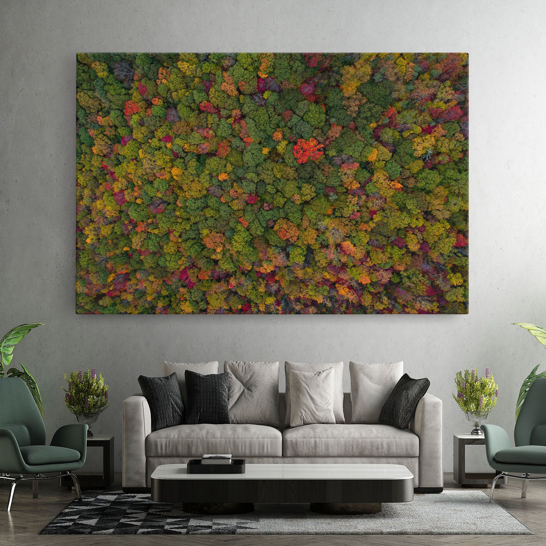 Color Mix Forest mockup 7