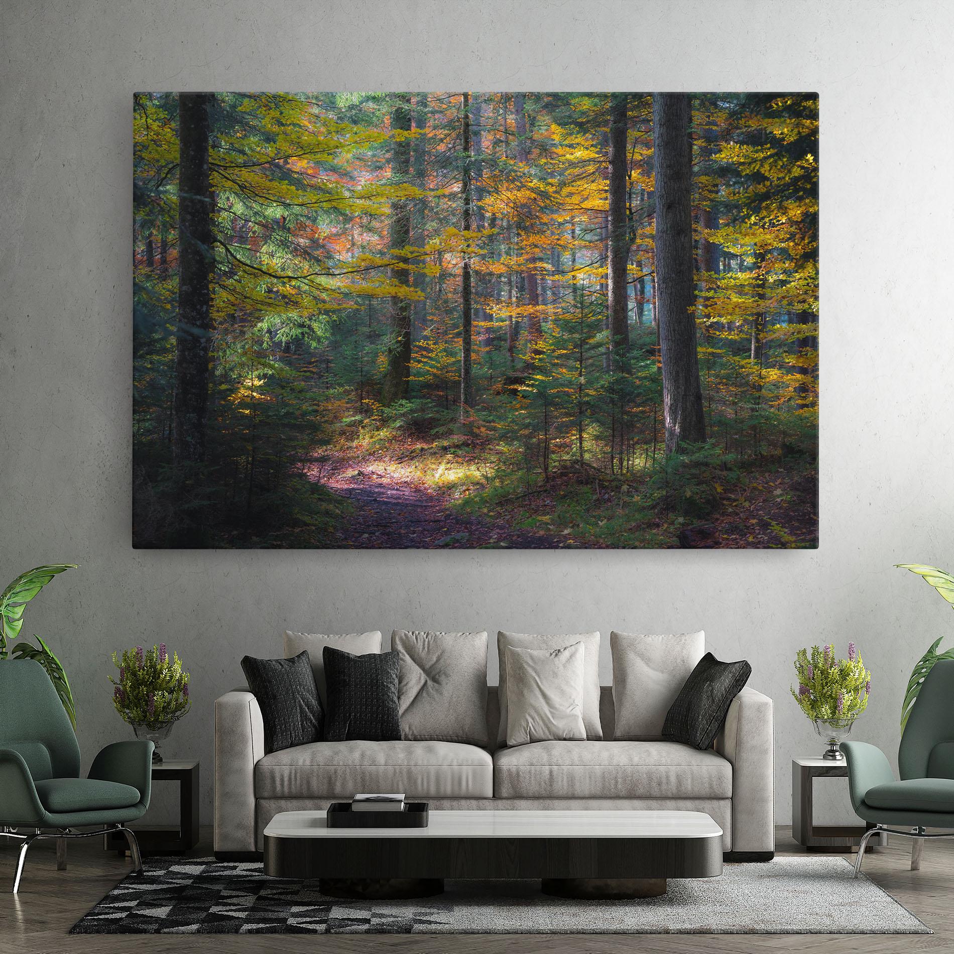 Leinwandbild Dreamy Path Dorest mockup 7