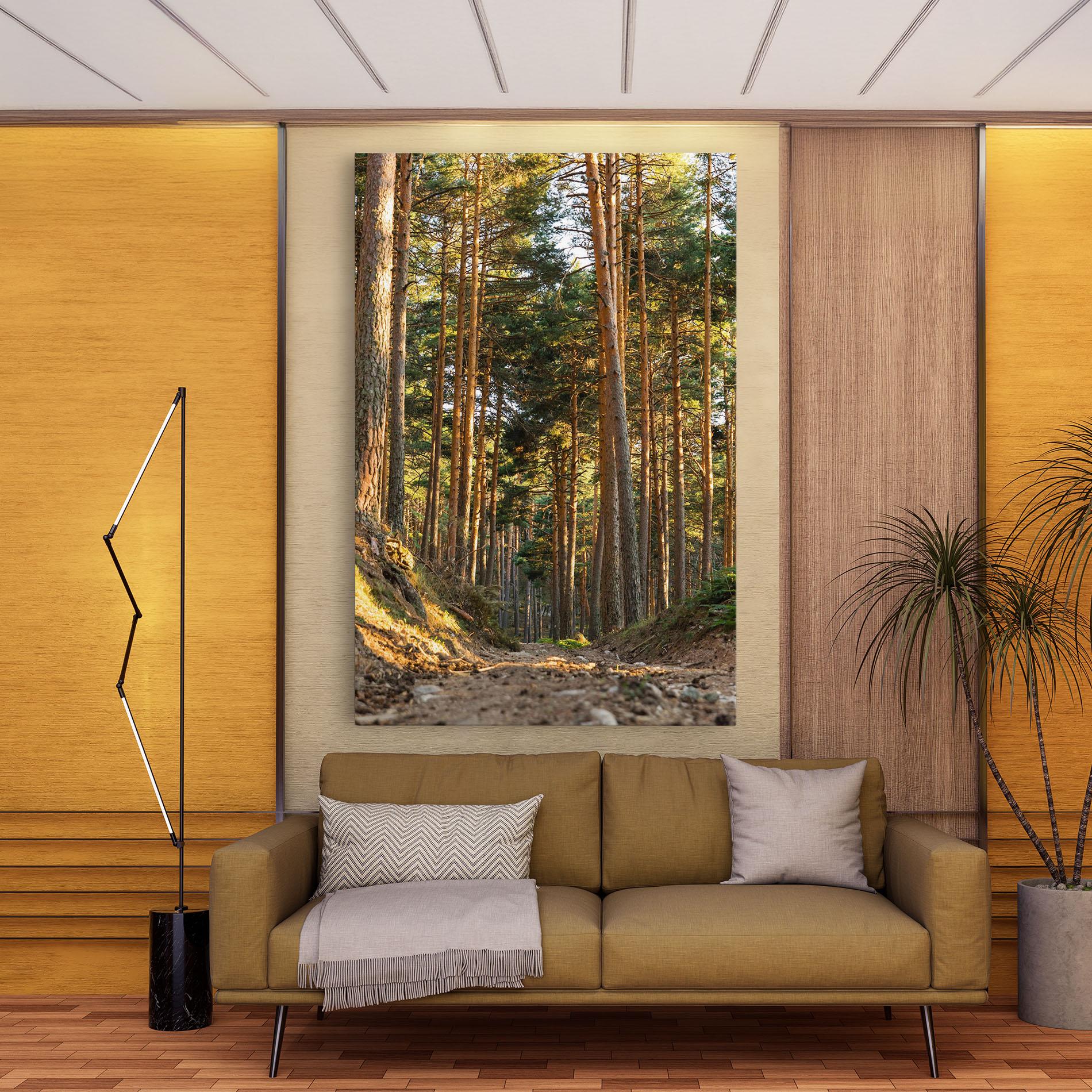 Leinwandbild Big Trees Forest mockup 9