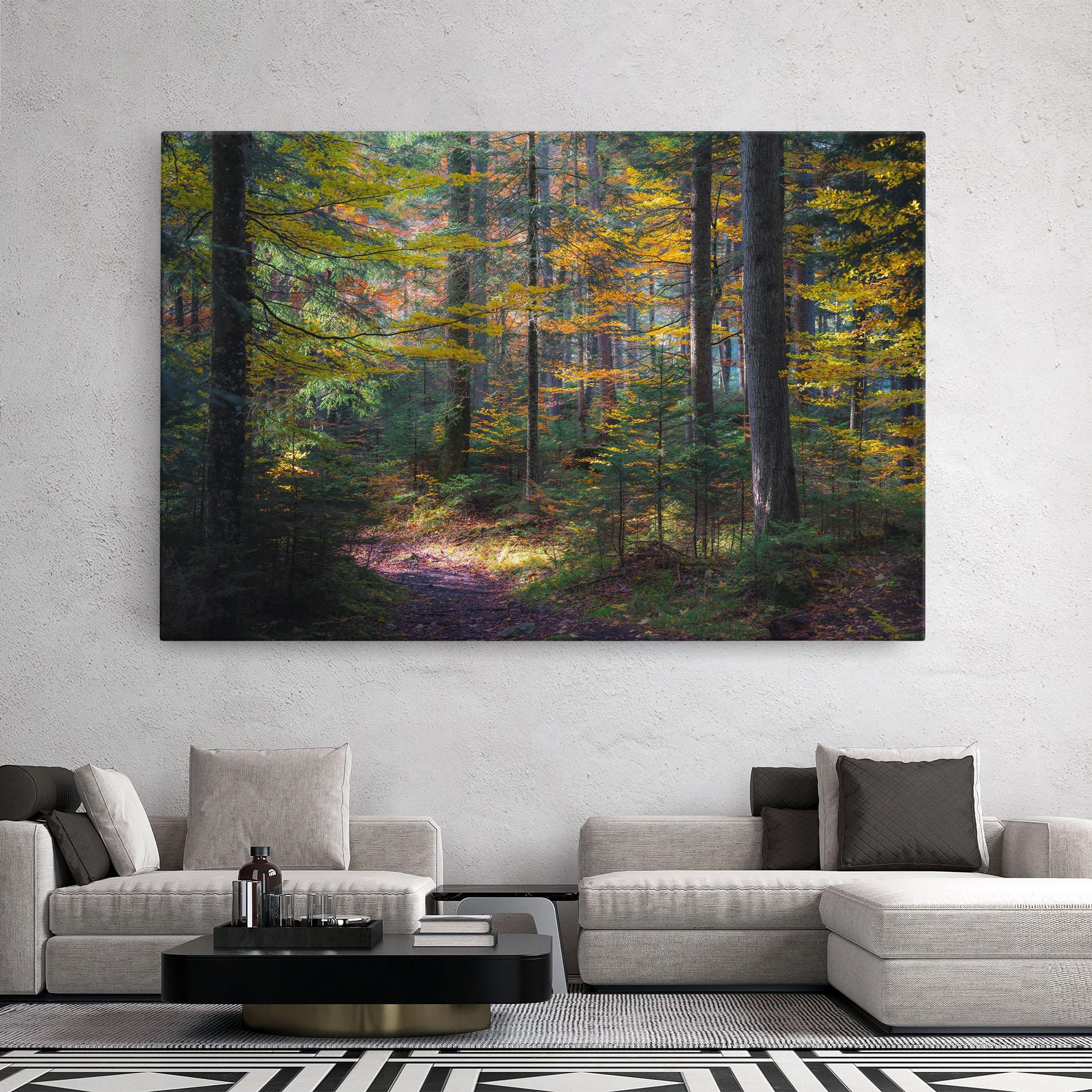 Leinwandbild Dreamy Path Dorest mockup 2