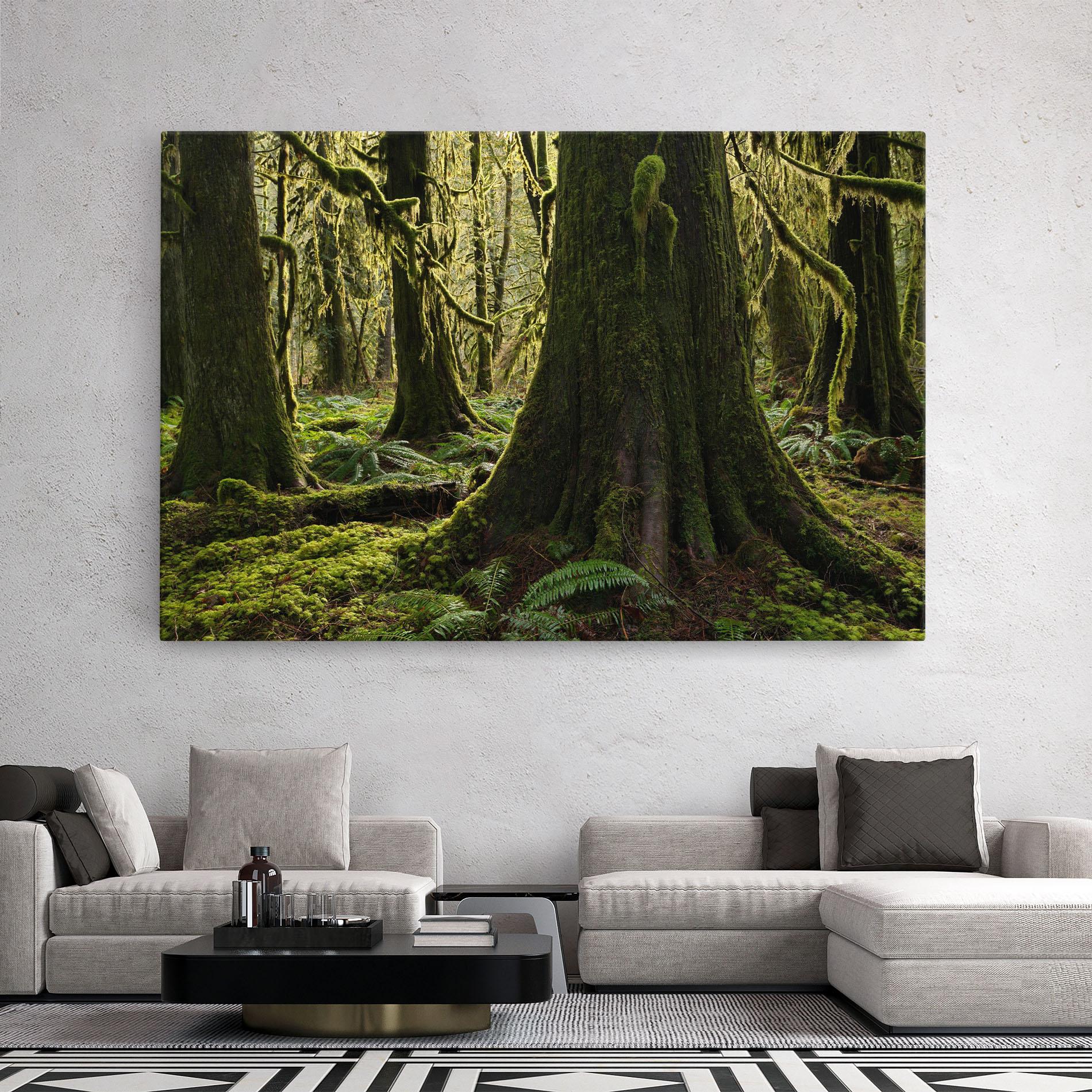 Leinwandbild Green Moss Forest mockup 2