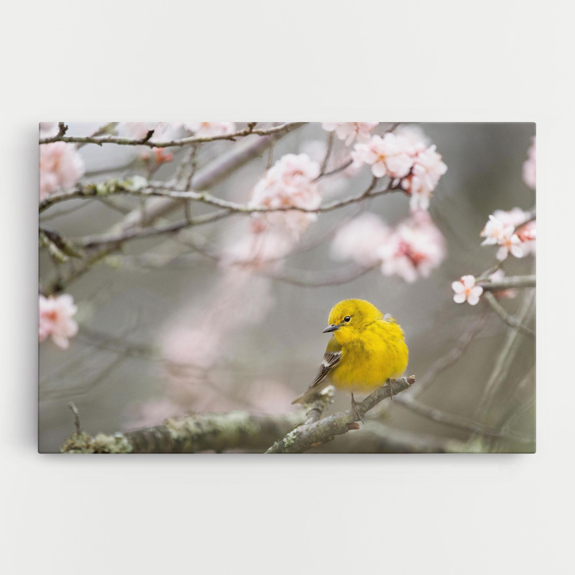 Leinwandbild Pretty Spring Yellow Bird mockup 0