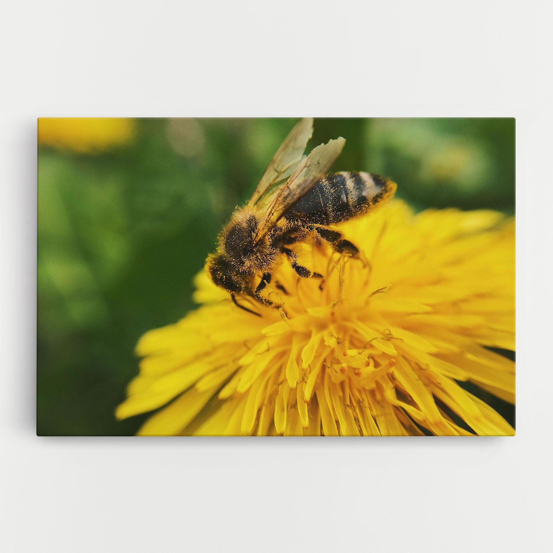 Leinwandbild Spring Bee mockup 0