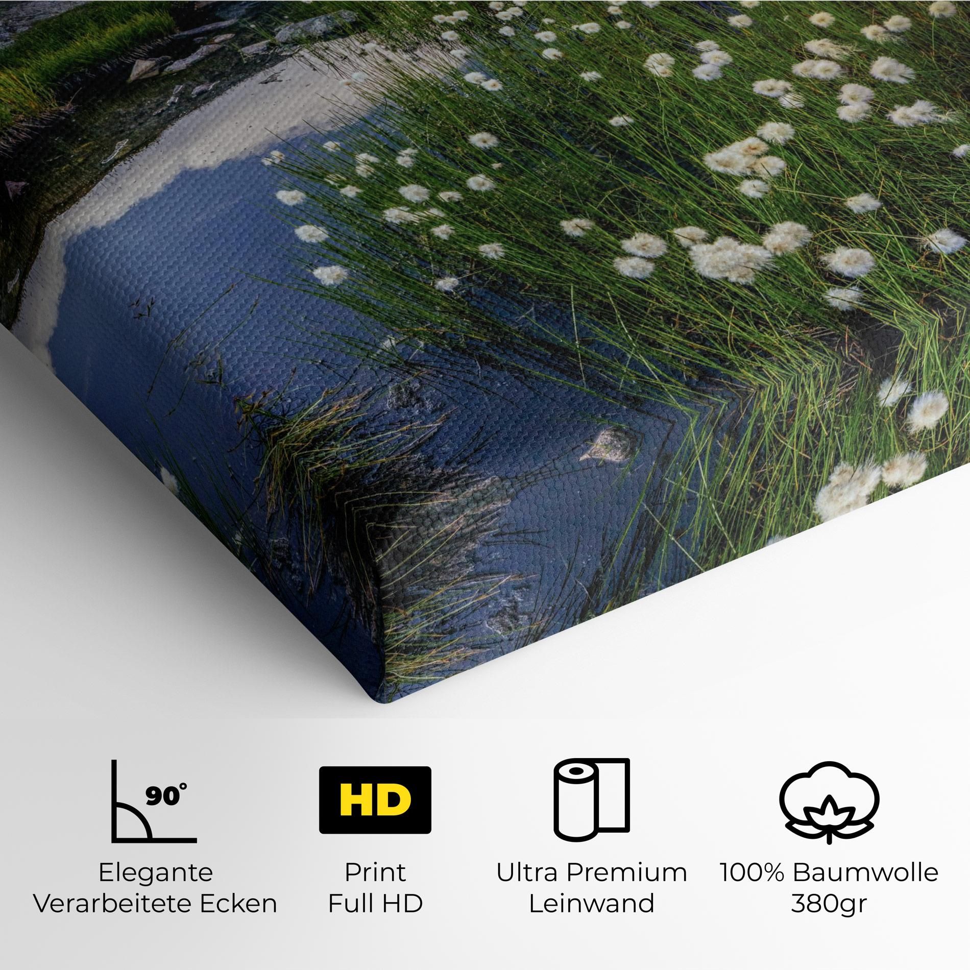 Lake Spring View mockup 4