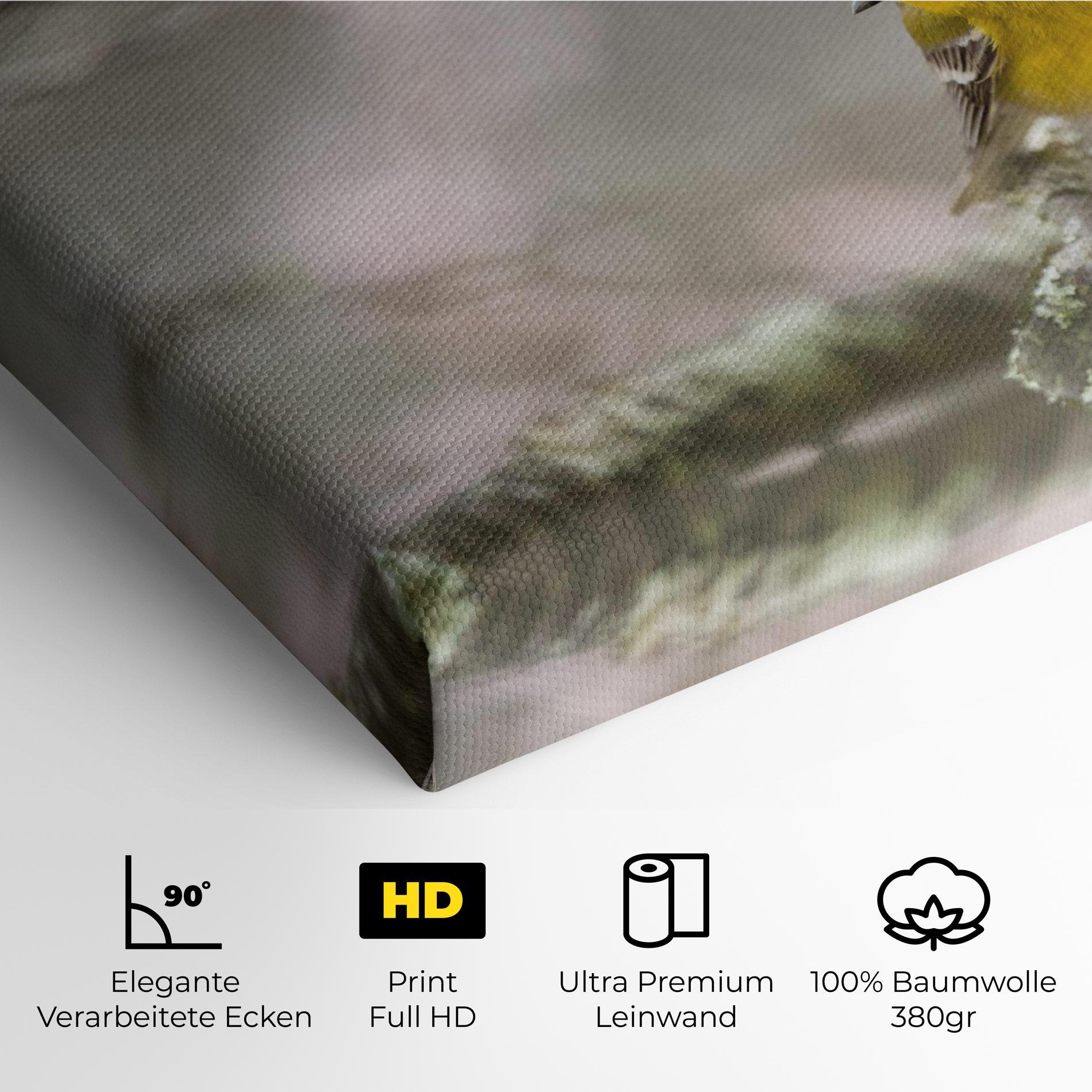 Leinwandbild Pretty Spring Yellow Bird mockup 4