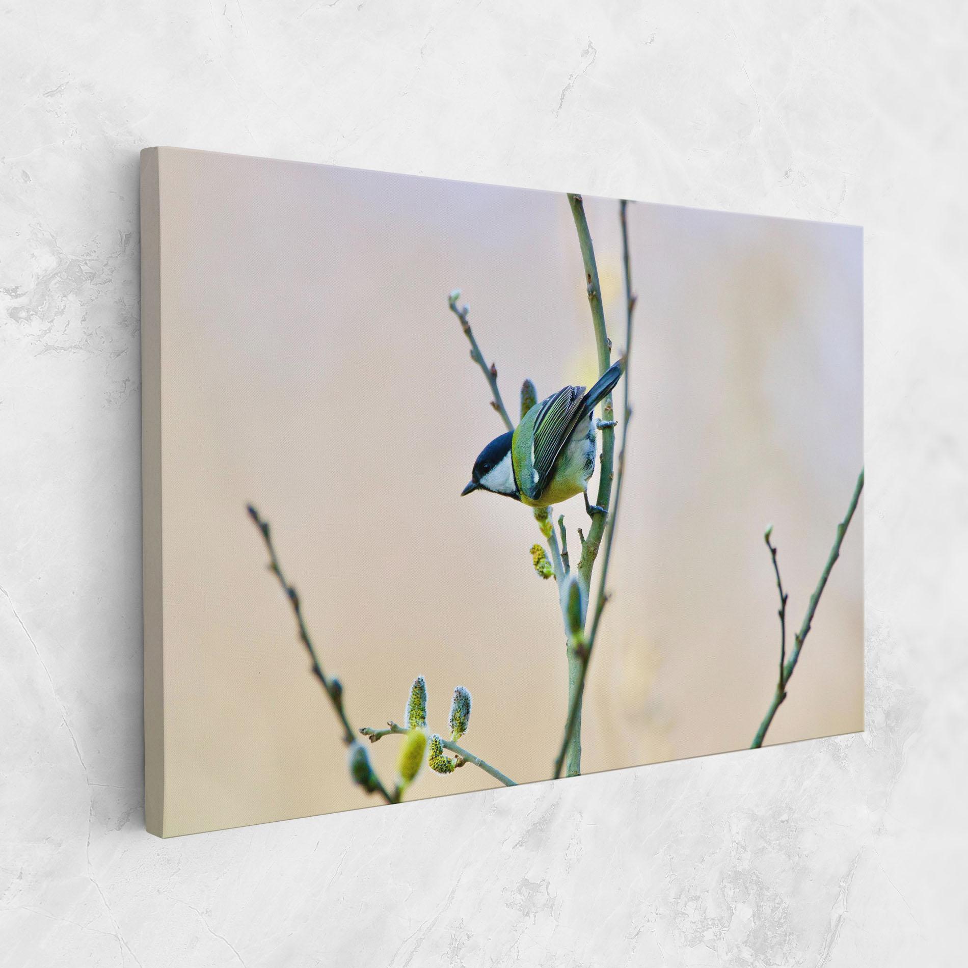 Leinwandbild Beautiful Spring Bird mockup 1