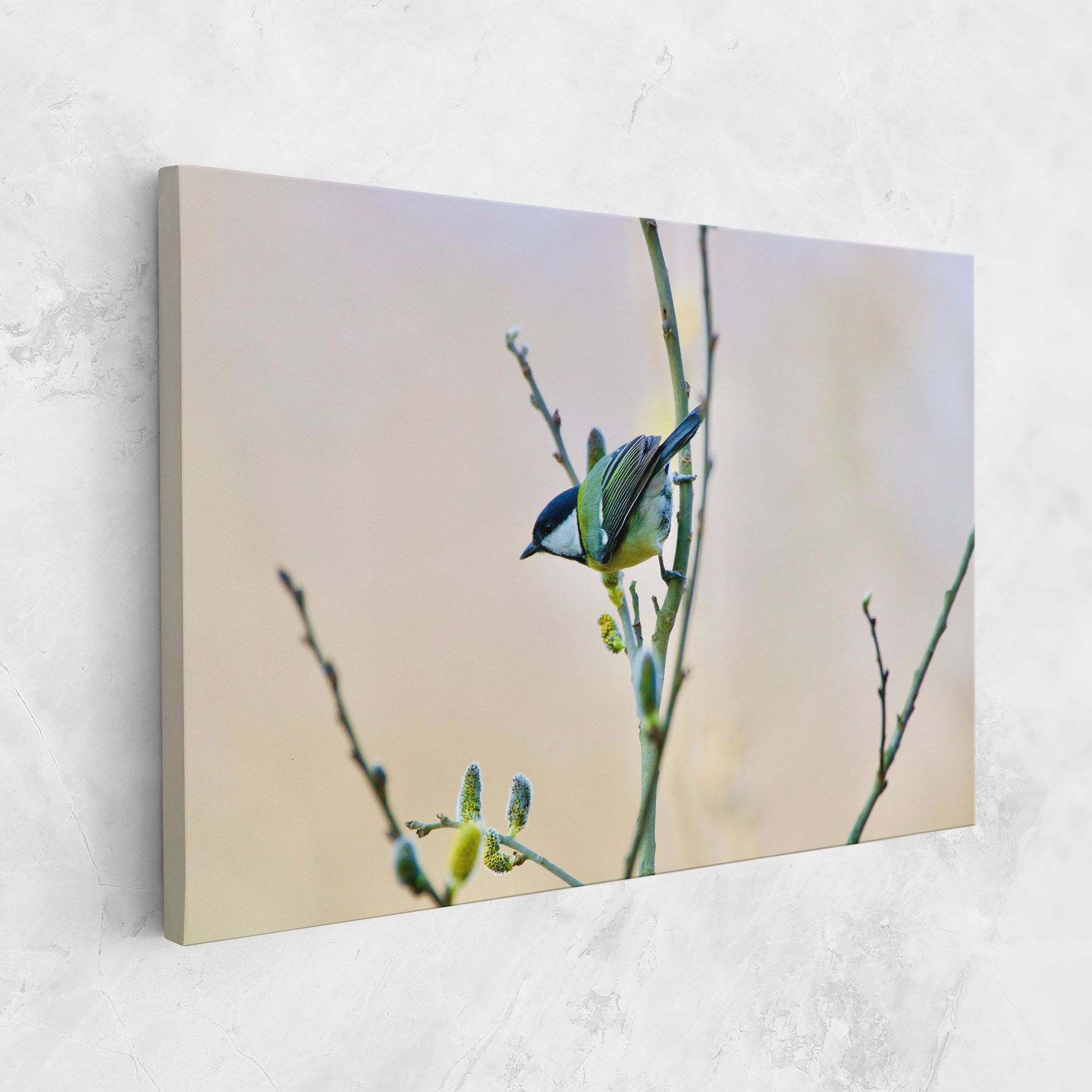 Beautiful Spring Bird mockup 1
