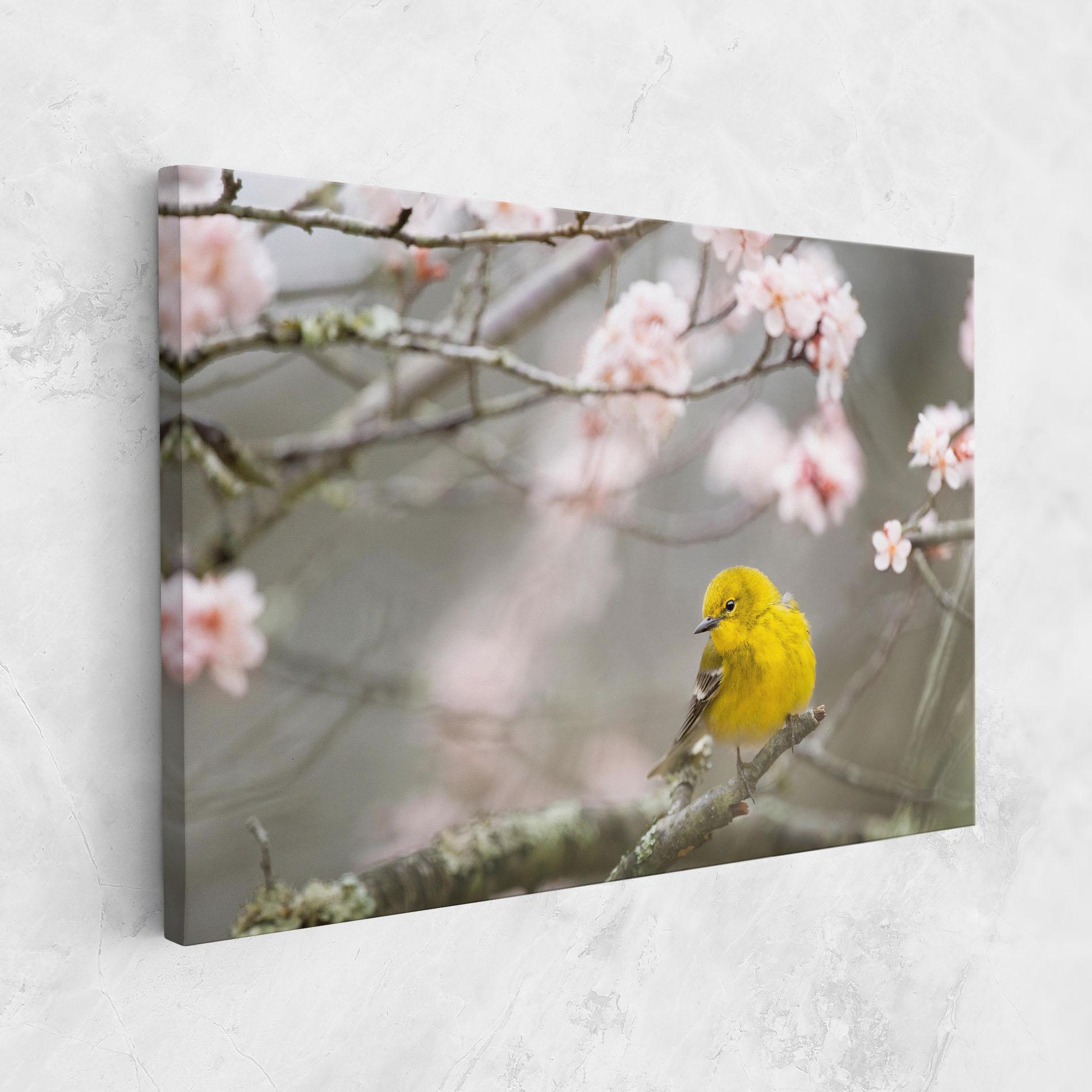 Leinwandbild Pretty Spring Yellow Bird mockup 1