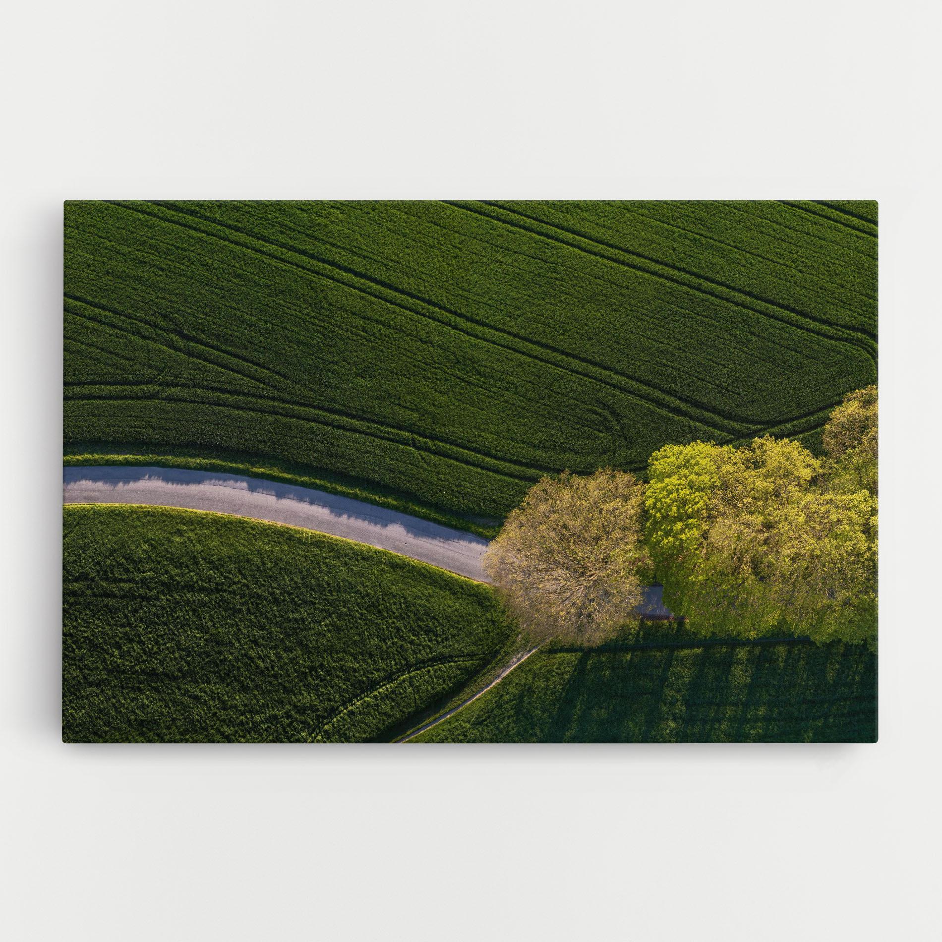Leinwandbild Green Road mockup 0