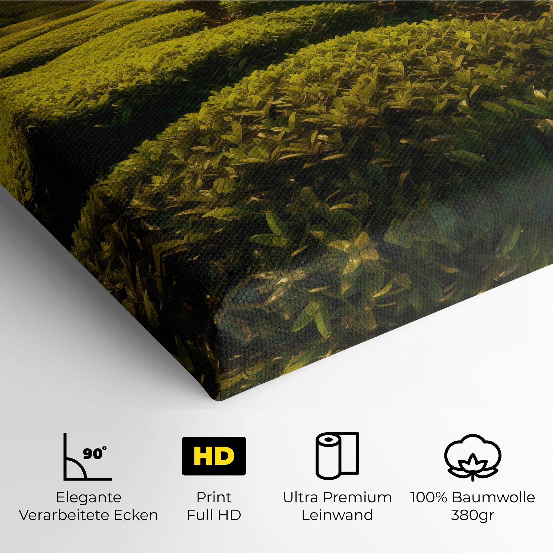 Tea Fields mockup 4