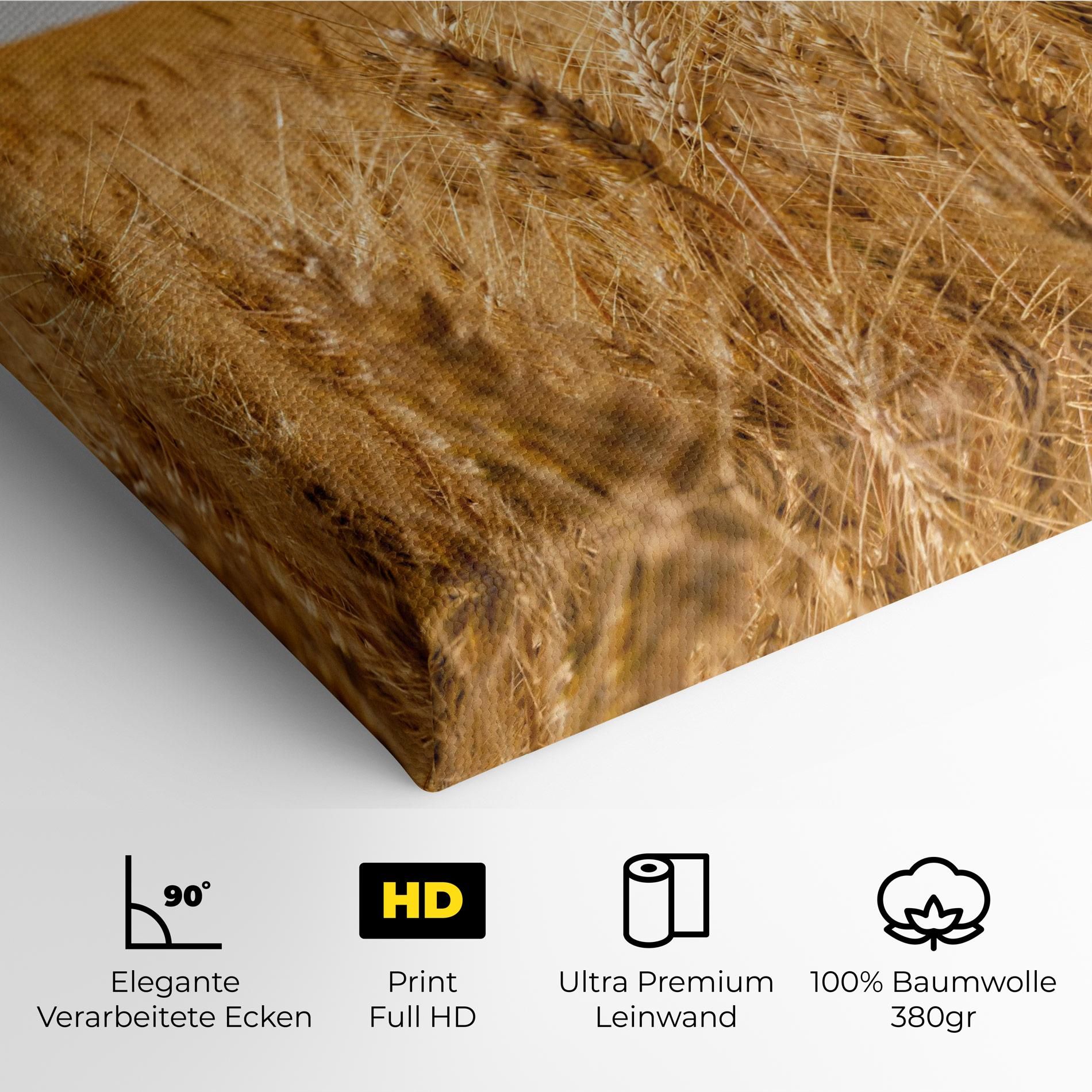 Wheat Land View mockup 4