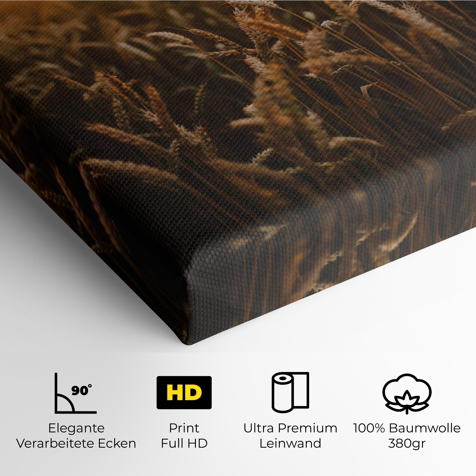 Leinwandbild Wheat Sunrise mockup 4