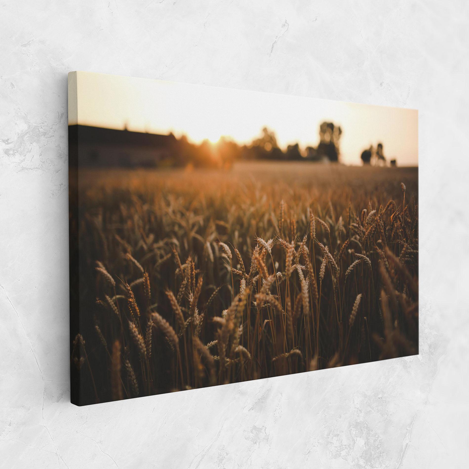 Leinwandbild Wheat Sunrise mockup 1