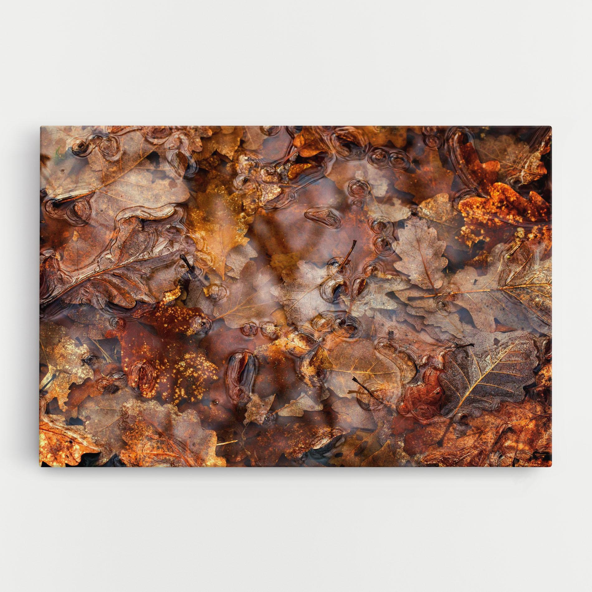 Leinwandbild Brown mockup 0