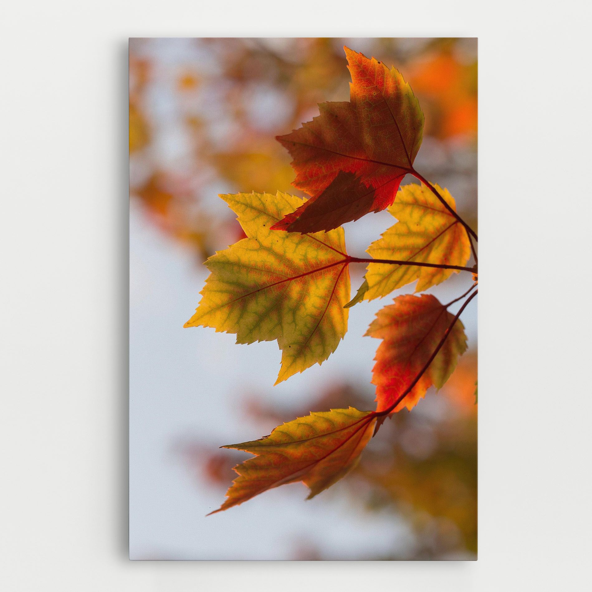 Red Yellow Autumn mockup 0