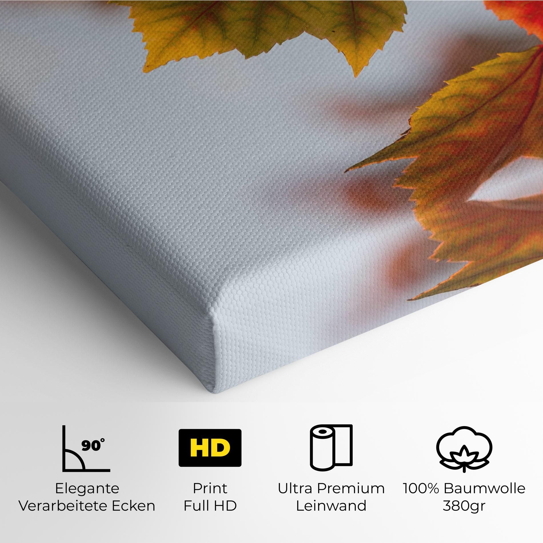 Red Yellow Autumn mockup 4