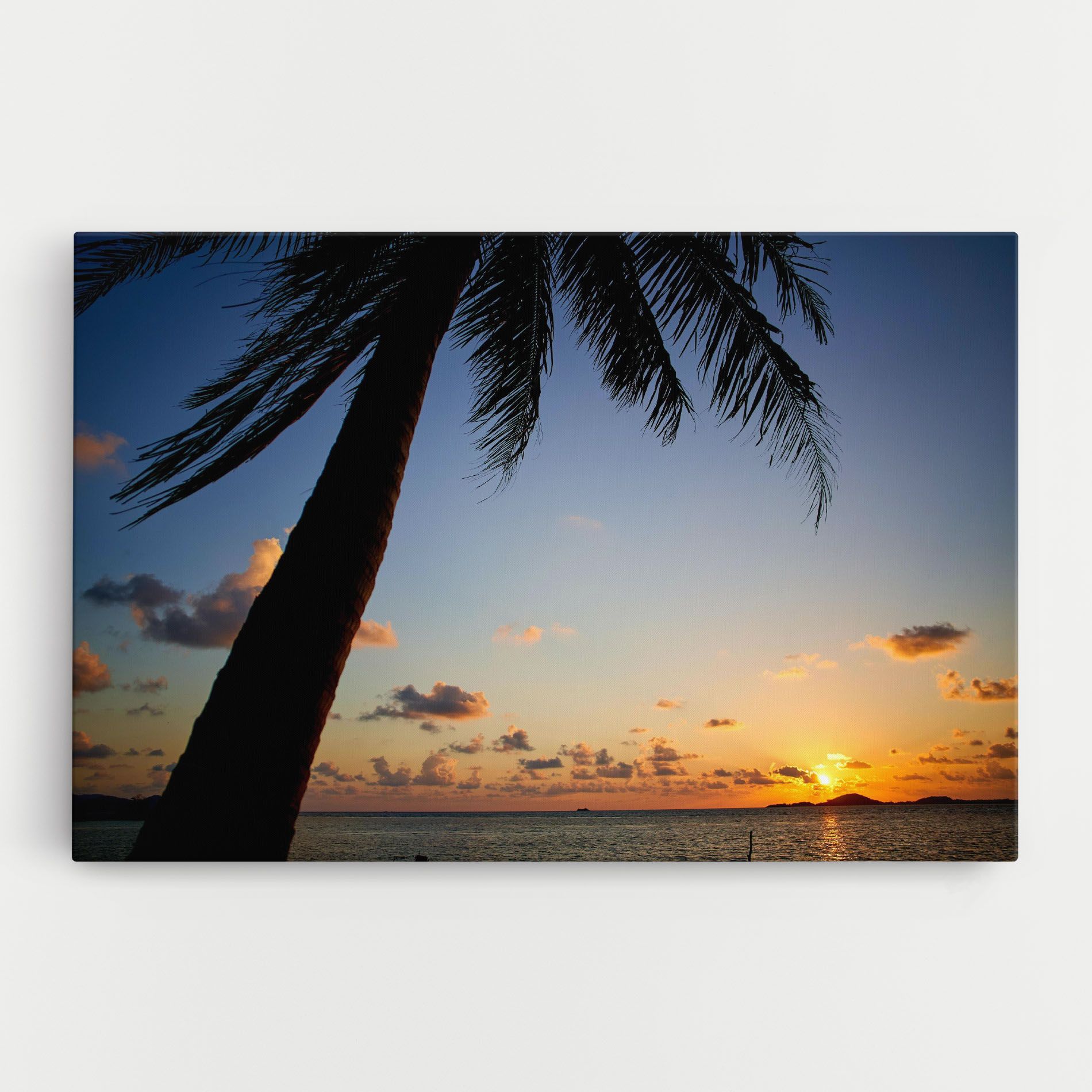 Palm Tree Silhouette mockup 0